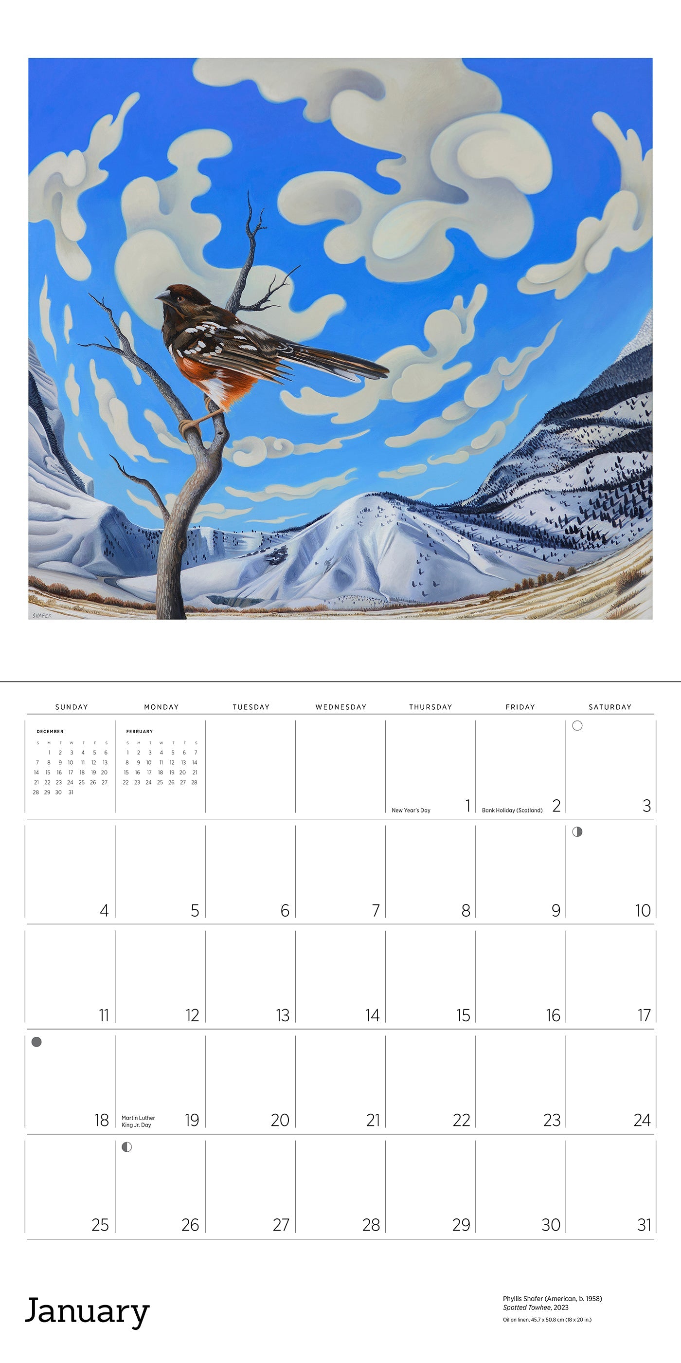 2026 Phyllis Shafer: Nature Divine - Square Wall Calendar