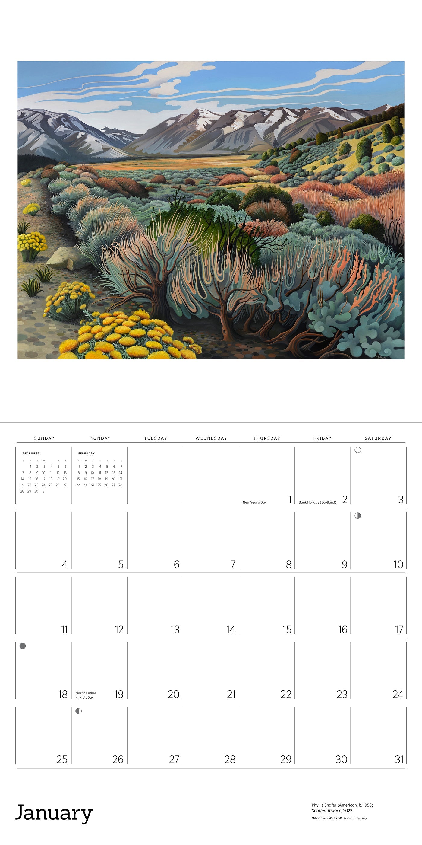 2026 Phyllis Shafer: Nature Divine - Square Wall Calendar