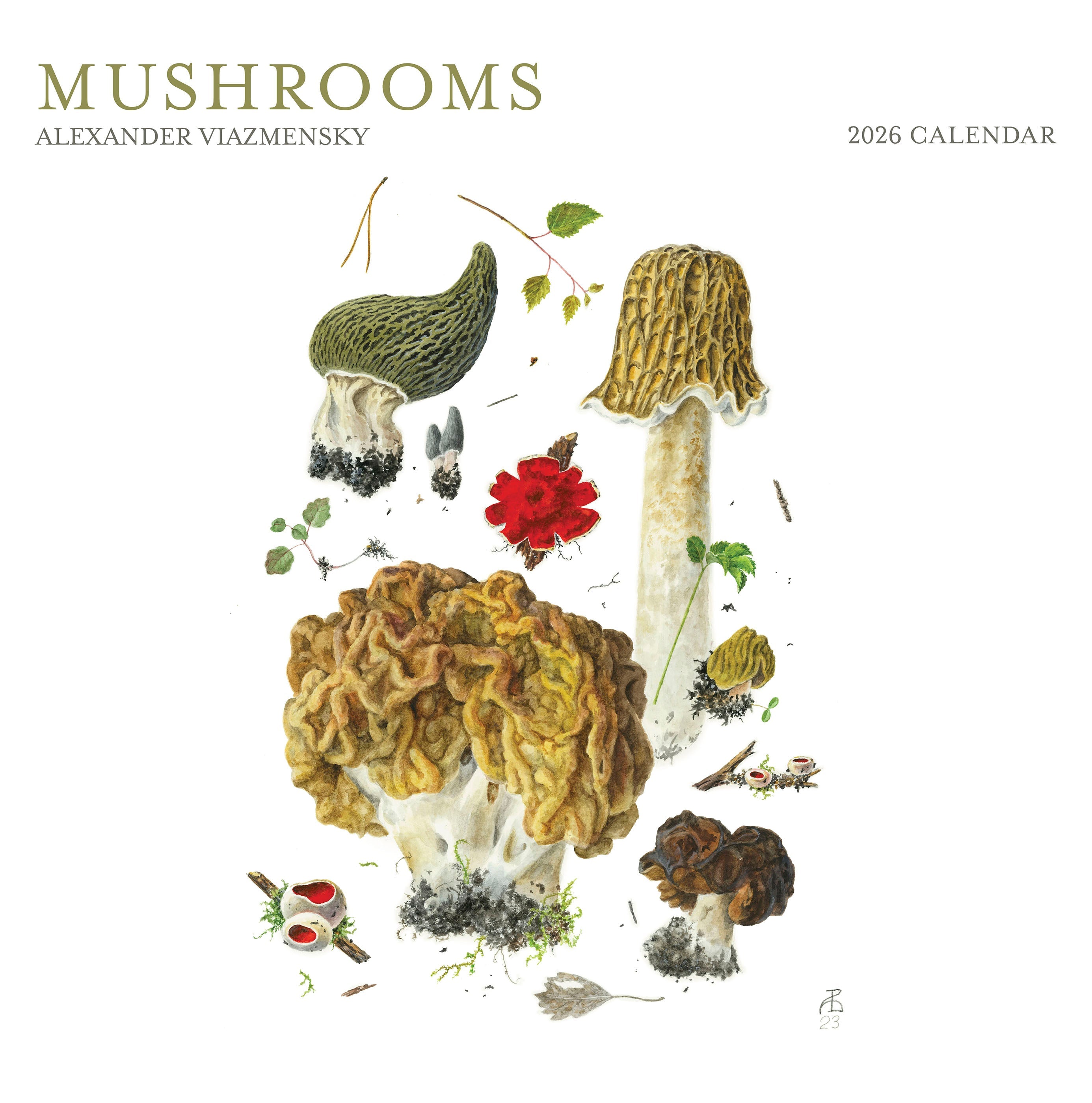 2026 Mushrooms: Alexander Viazmensky - Square Wall Calendar