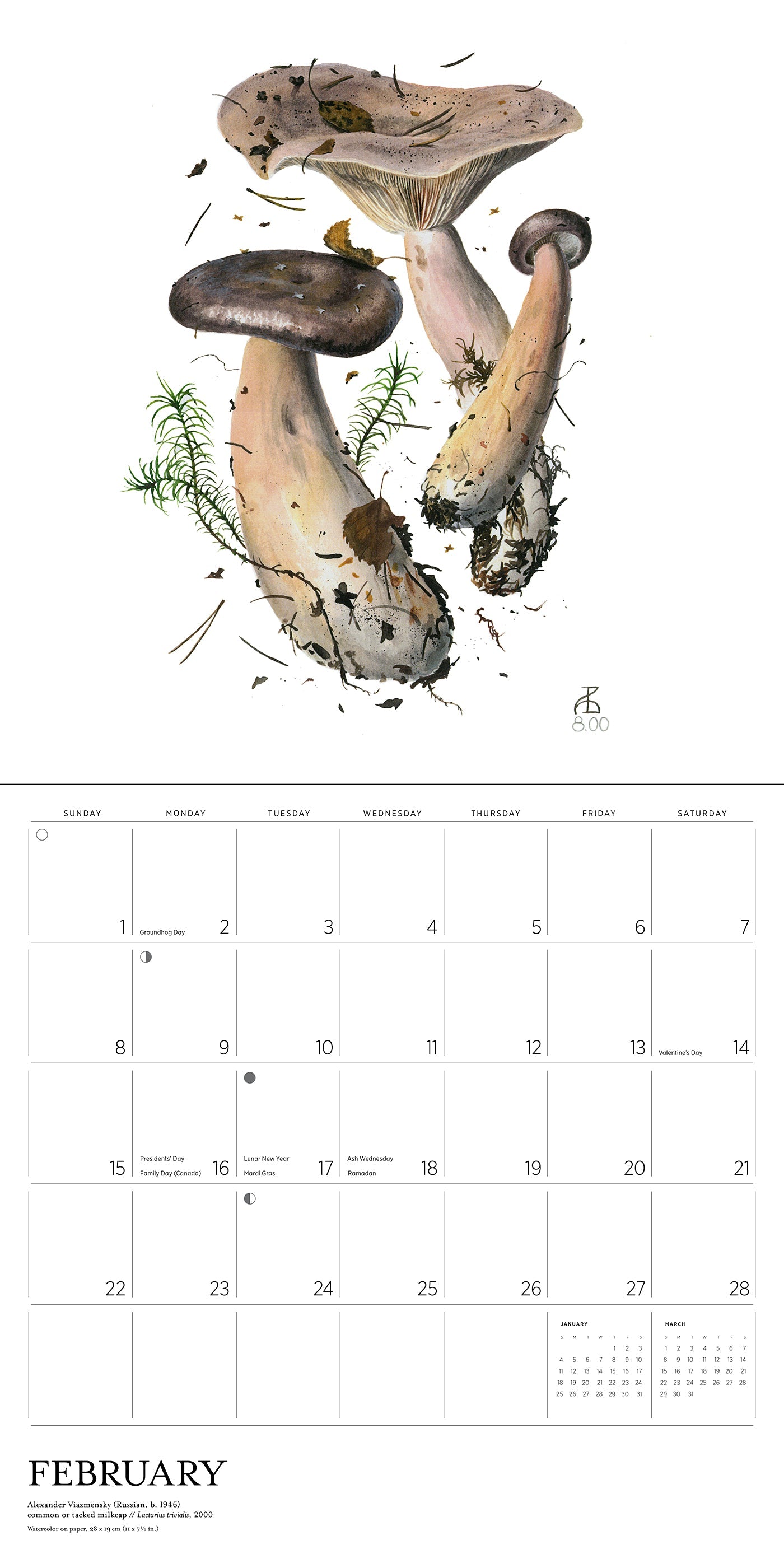 2026 Mushrooms: Alexander Viazmensky - Square Wall Calendar