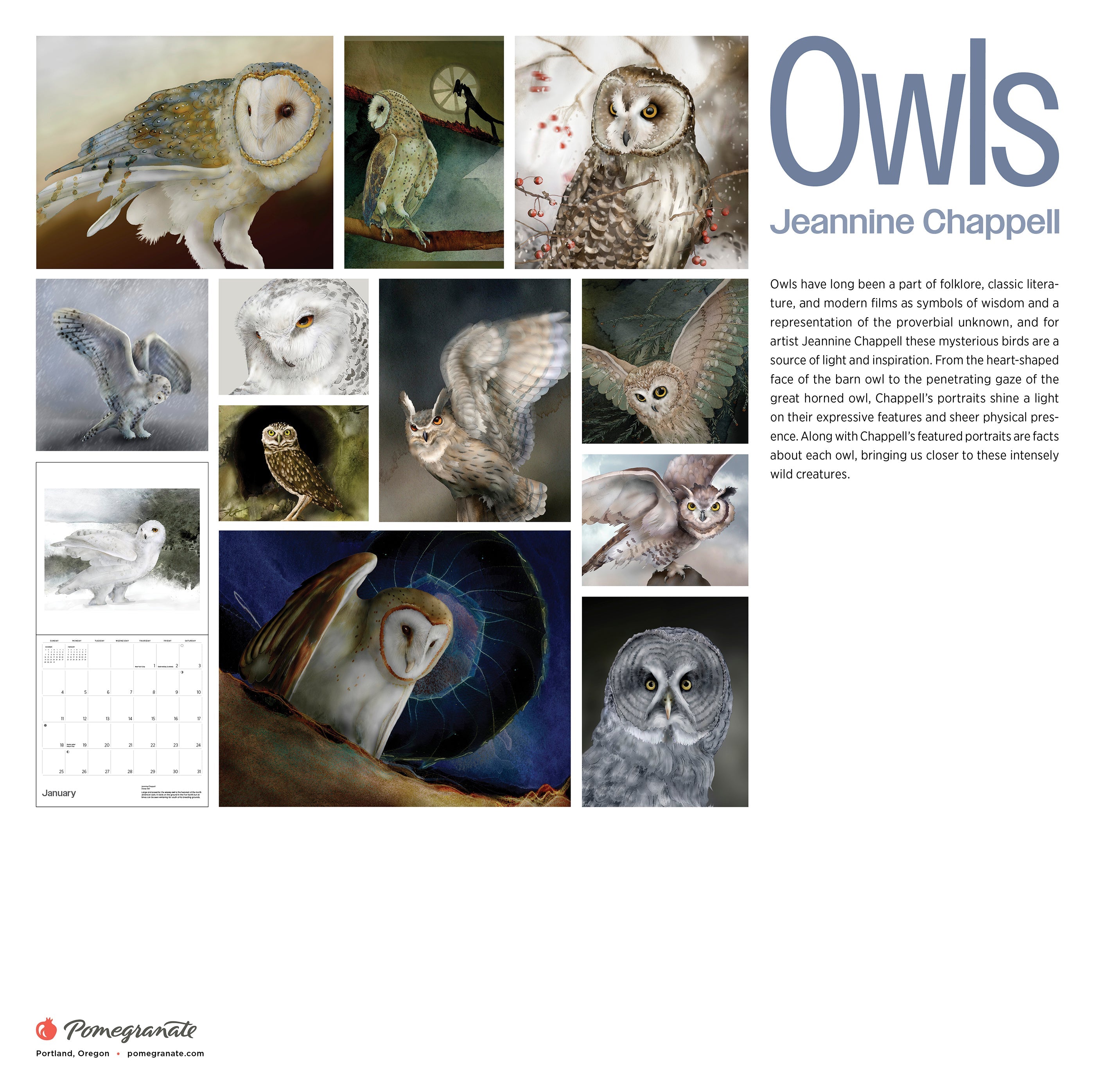 2026 Owls: Jeannine Chappell - Square Wall Calendar
