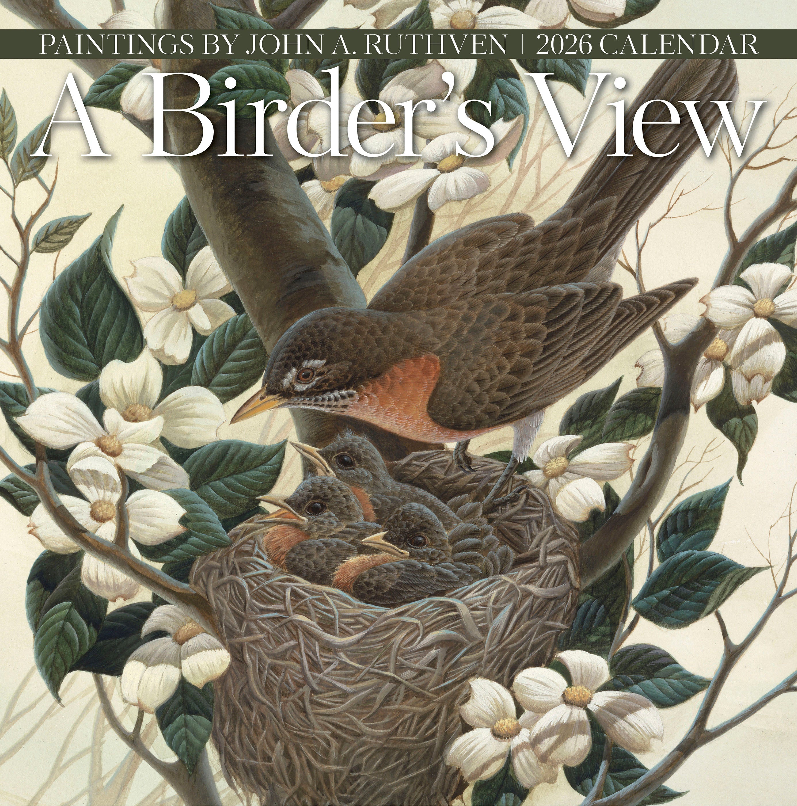 2026 A Birder's View: Paintings by John A. Ruthven - Square Wall Calendar