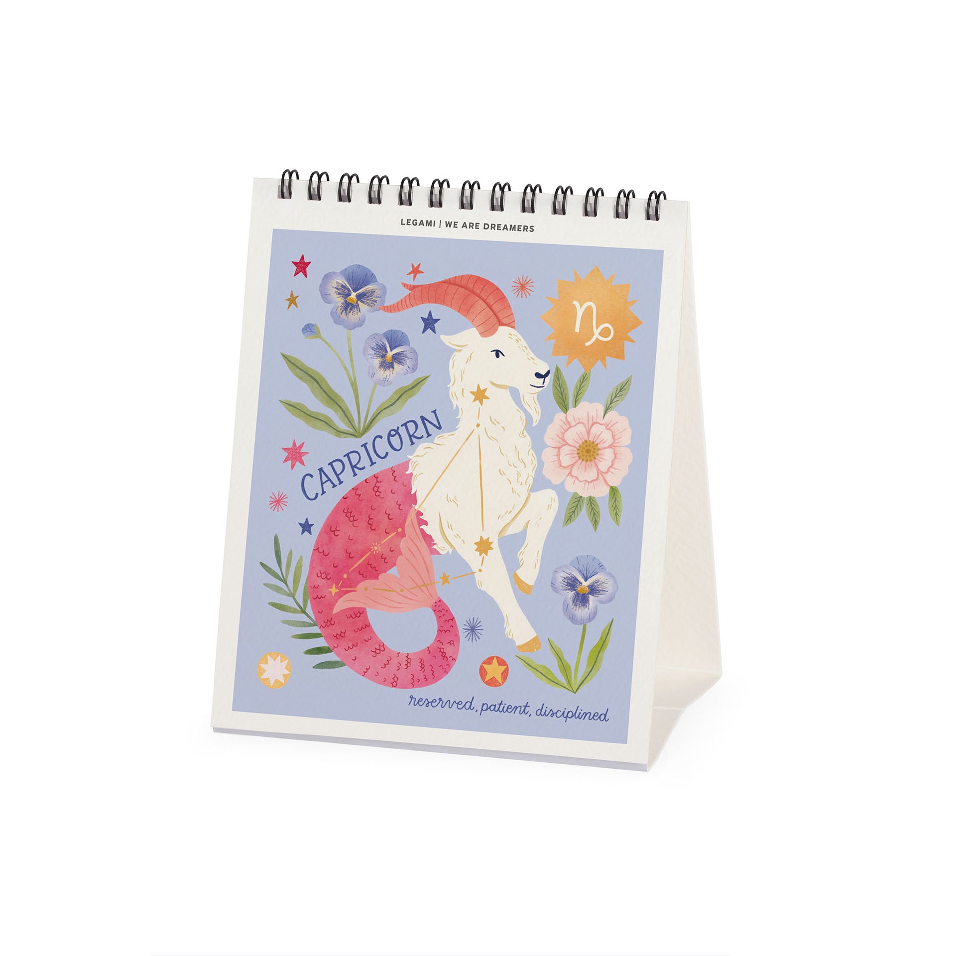 2027 Written in the Stars - Desk Easel Calendar