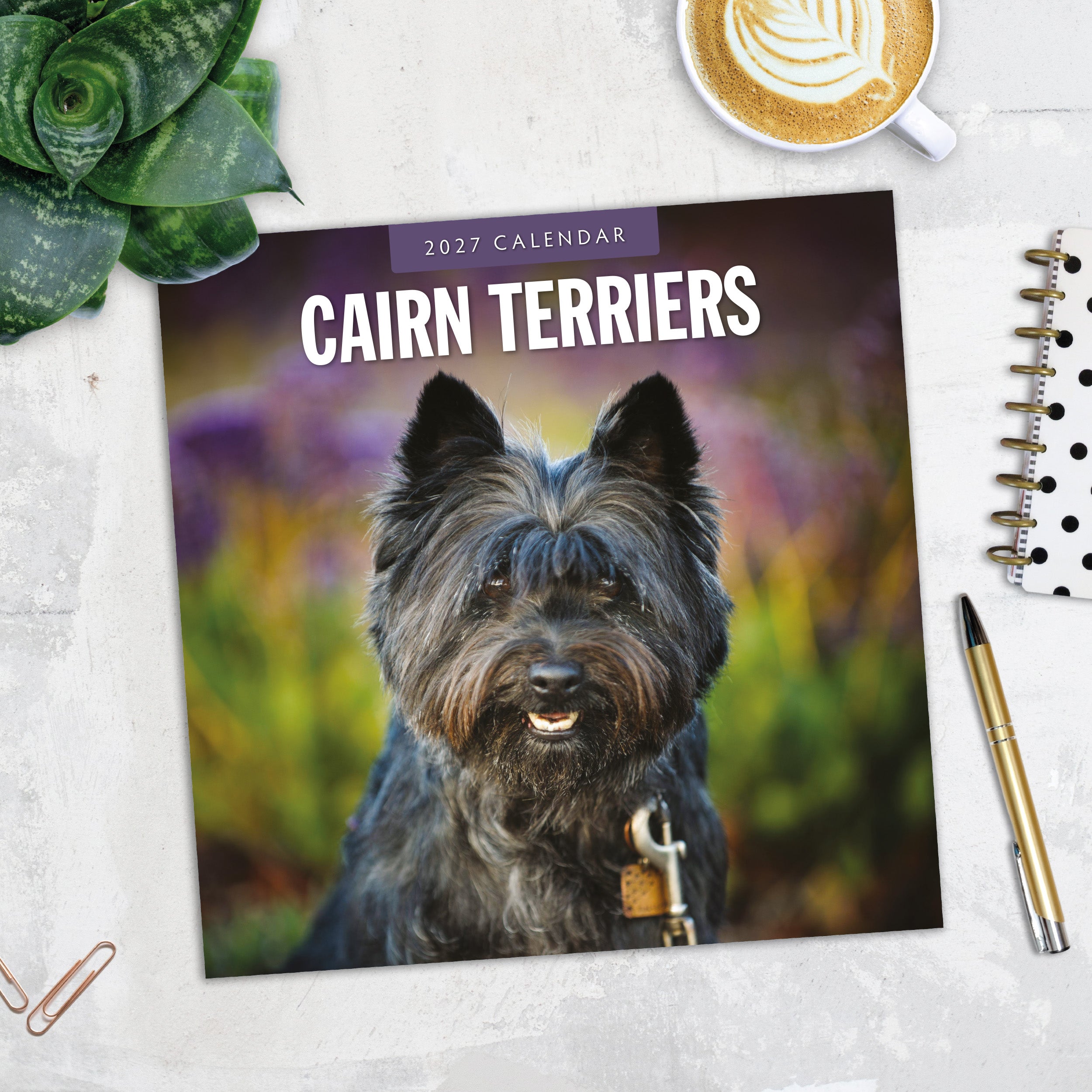 2027 Cairn Terriers - Square Wall Calendar