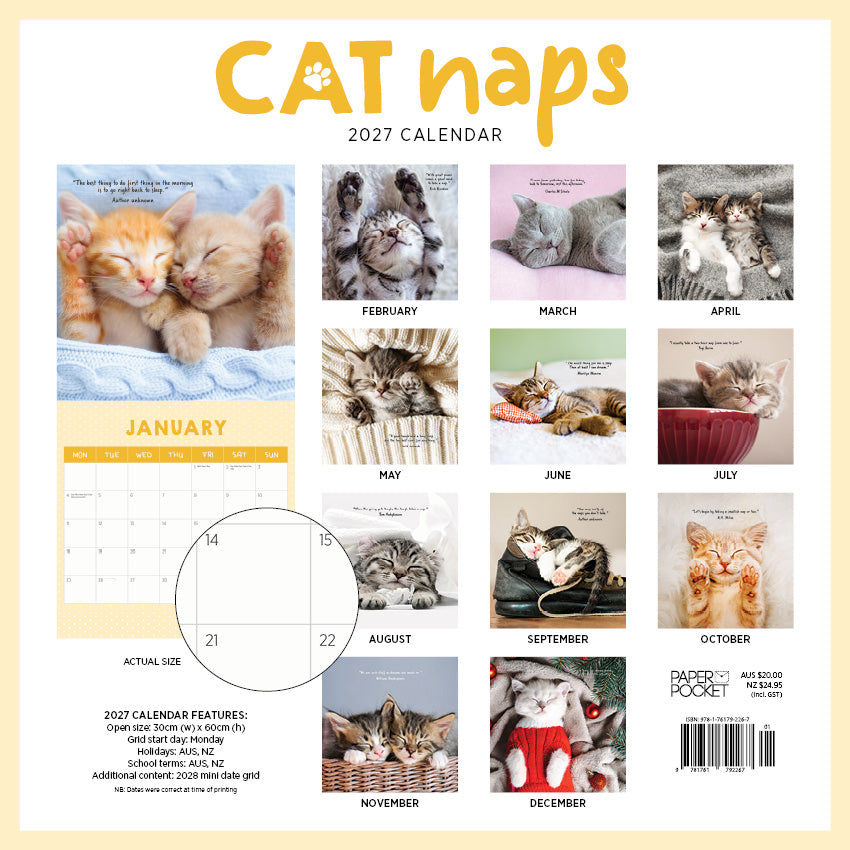 2027 Cat Naps - Square Wall Calendar