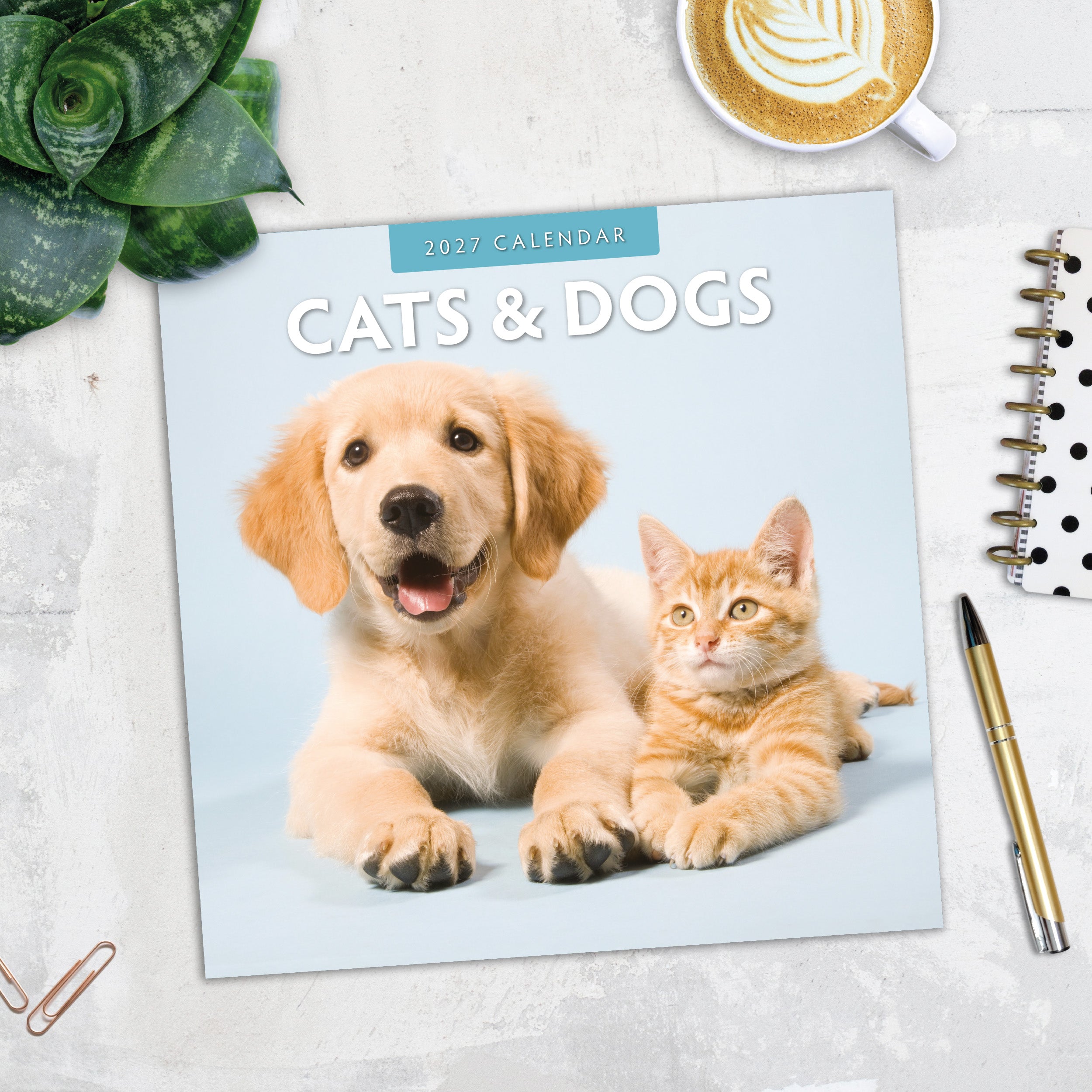 2027 Cats & Dogs - Square Wall Calendar