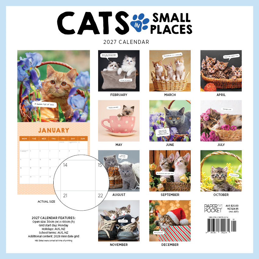 2027 Cats In Small Places - Square Wall Calendar