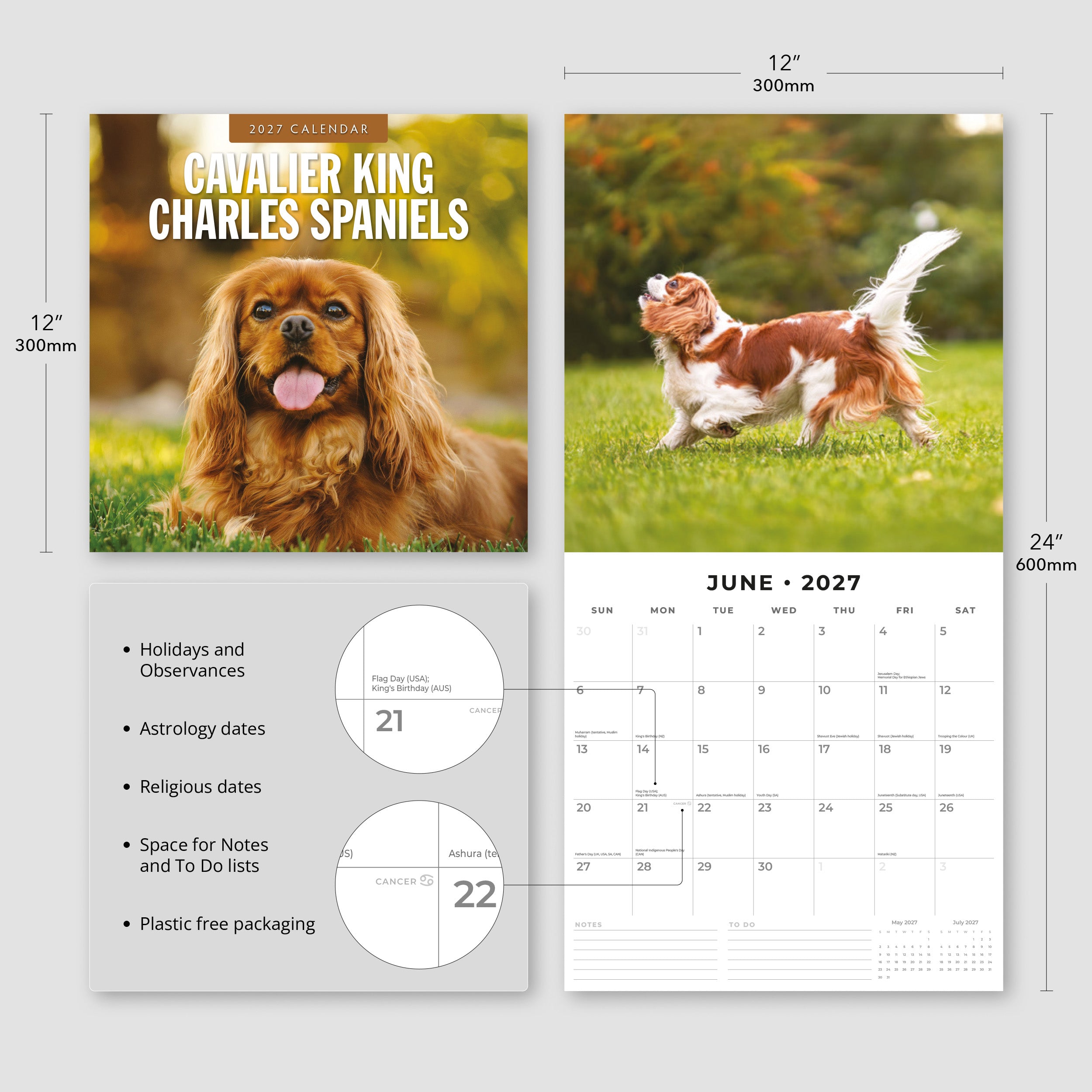 2027 Cavalier King Charles Spaniels - Square Wall Calendar