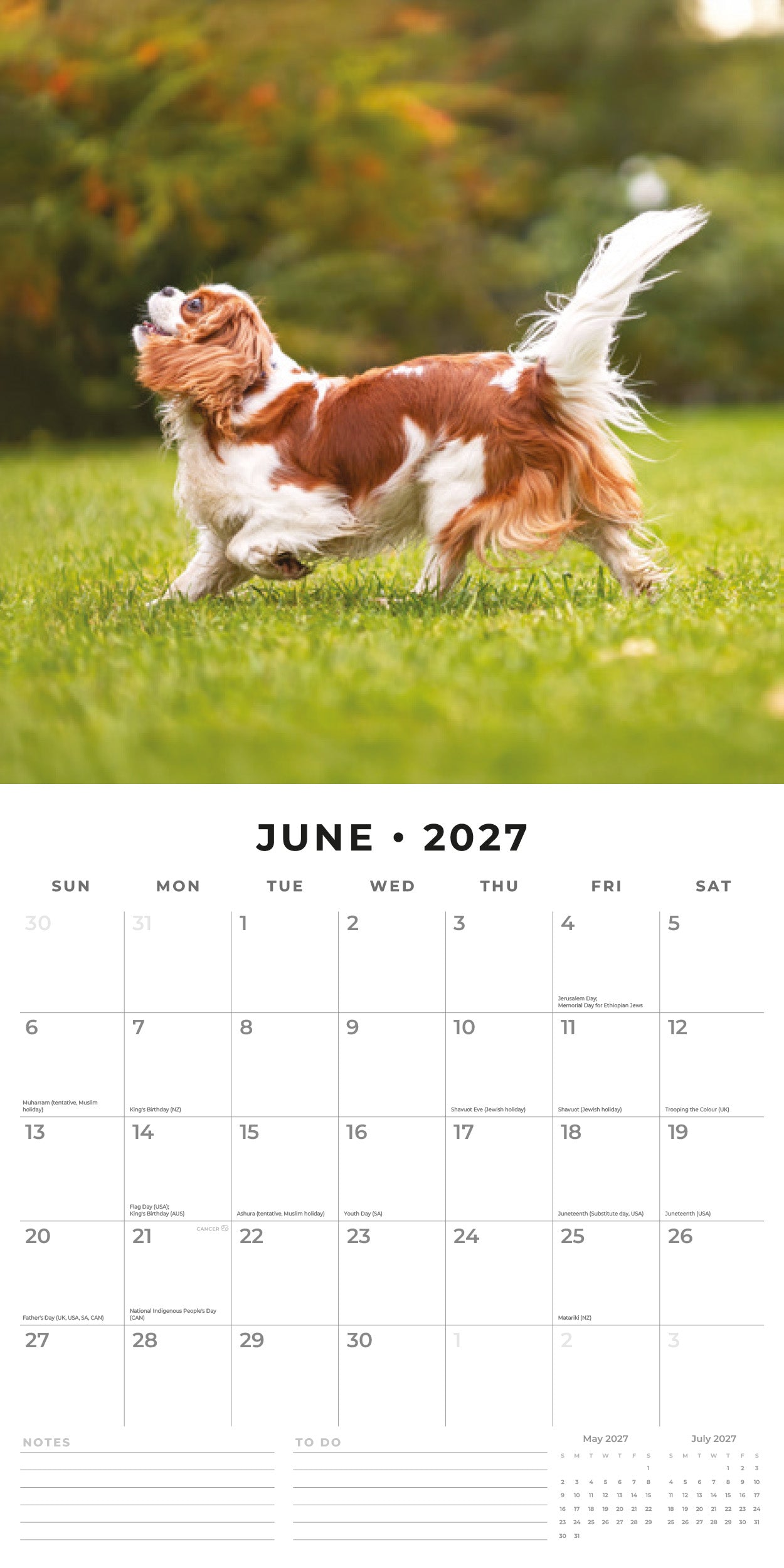 2027 Cavalier King Charles Spaniels - Square Wall Calendar