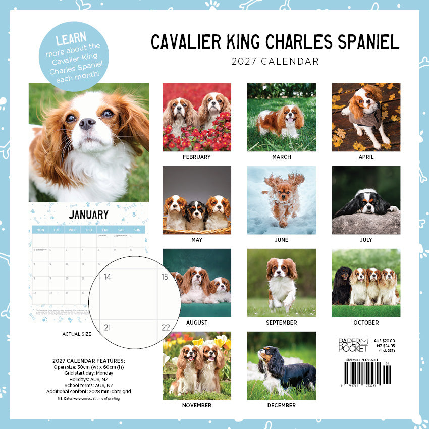 2027 Cavalier King Charles Spaniels - Square Wall Calendar