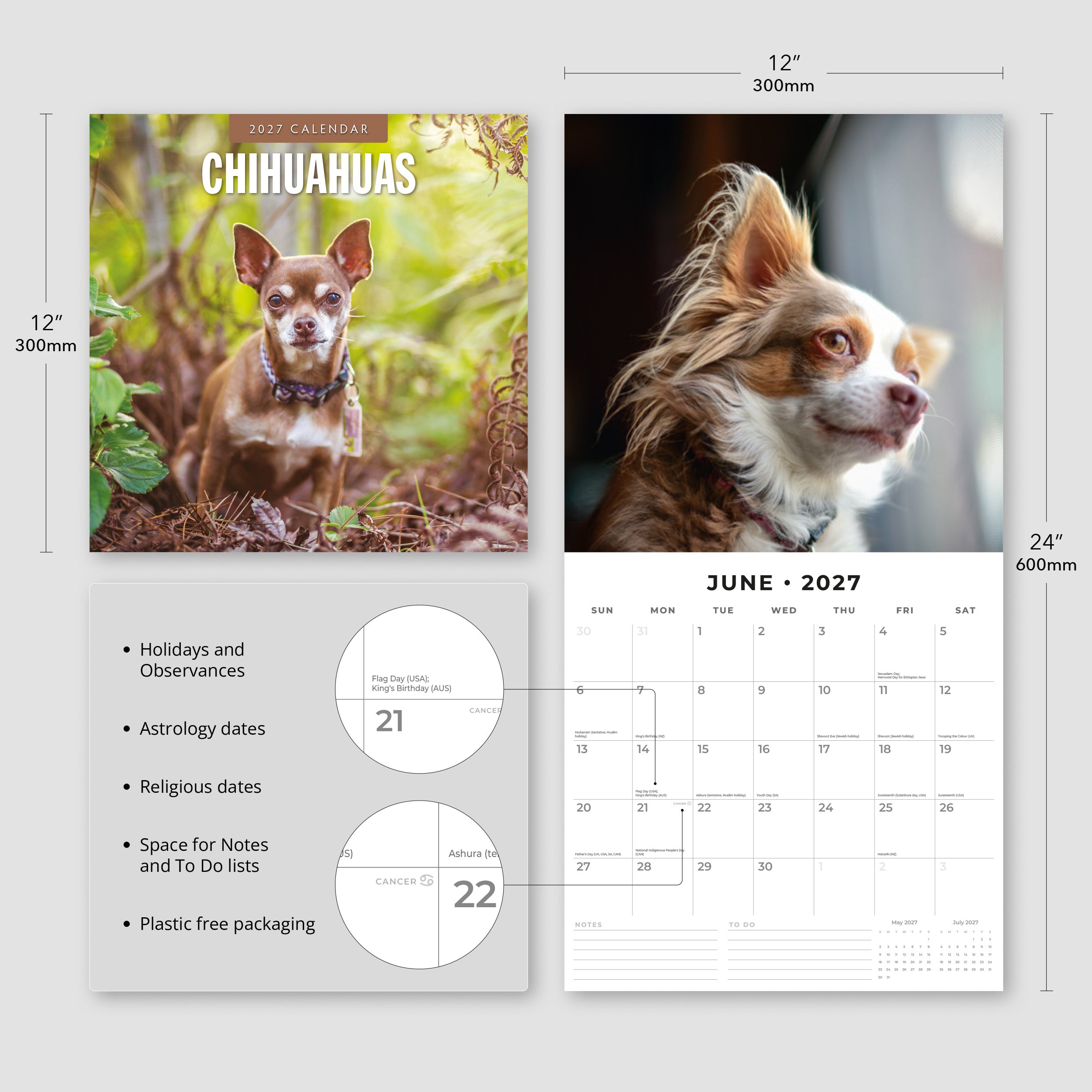 2027 Chihuahuas - Square Wall Calendar