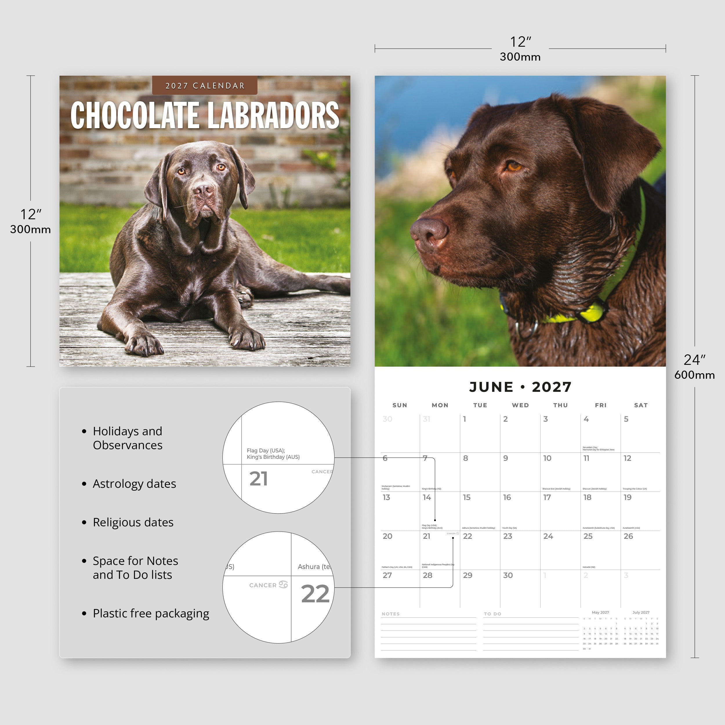 2027 Chocolate Labradors - Square Wall Calendar