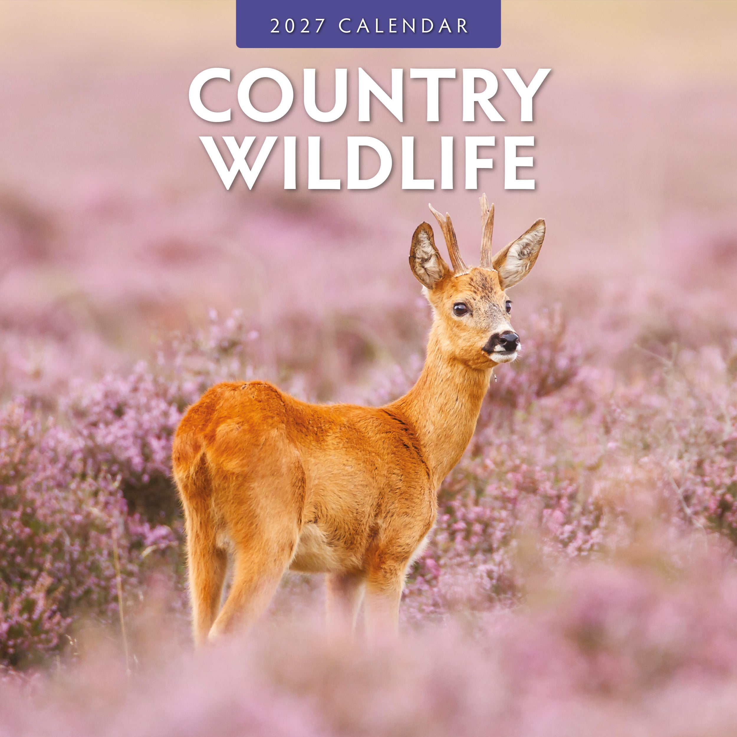 2027 Country Wildlife - Square Wall Calendar