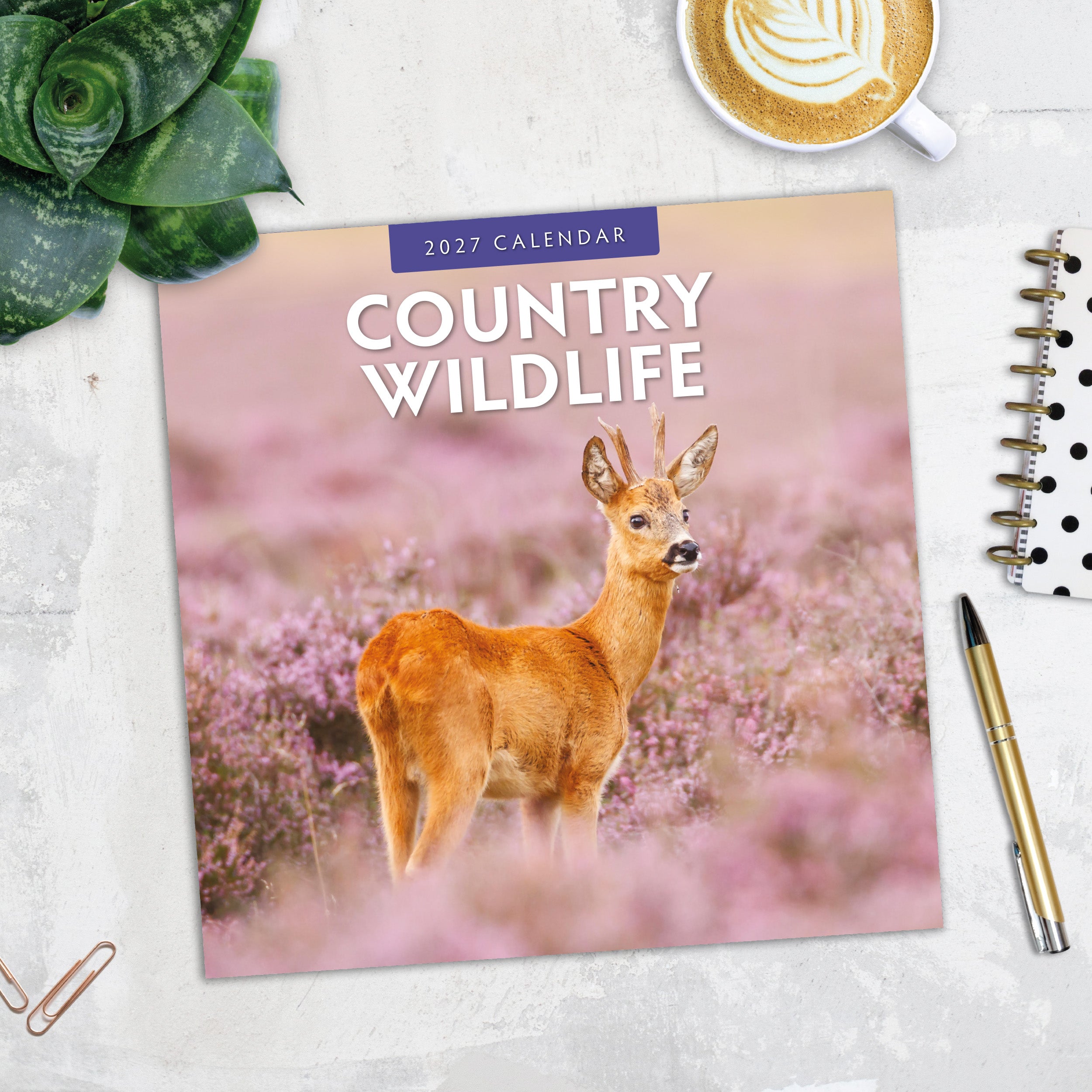 2027 Country Wildlife - Square Wall Calendar
