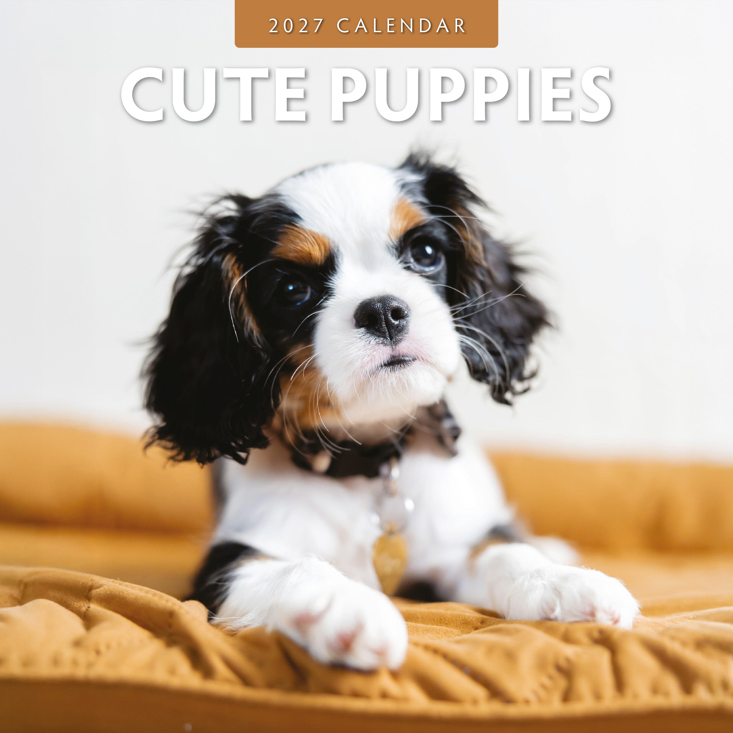 2027 Cute Puppies - Square Wall Calendar