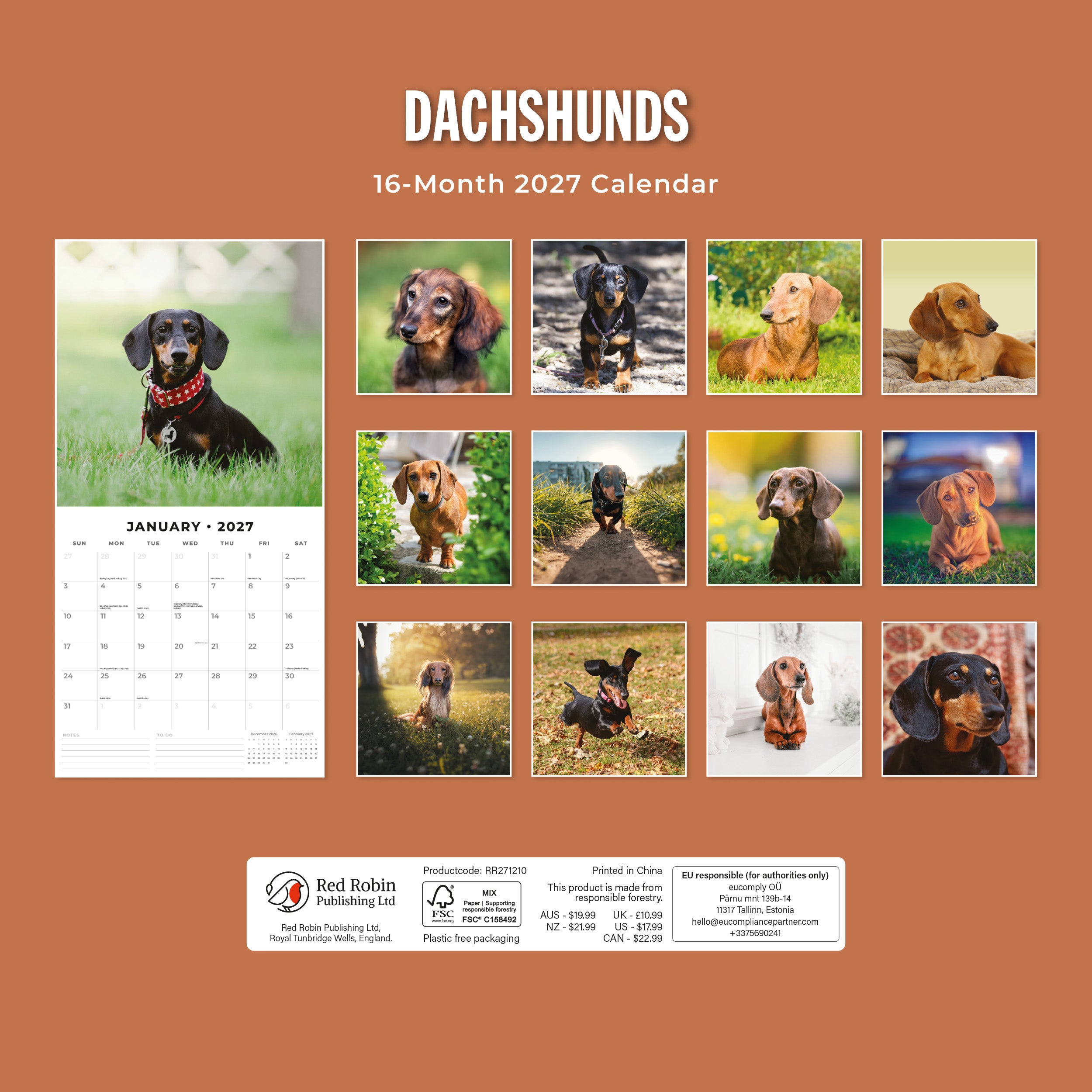 2027 Dachshunds - Square Wall Calendar