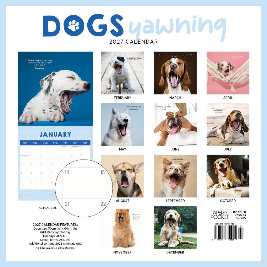 2027 Dogs Yawning - Square Wall Calendar