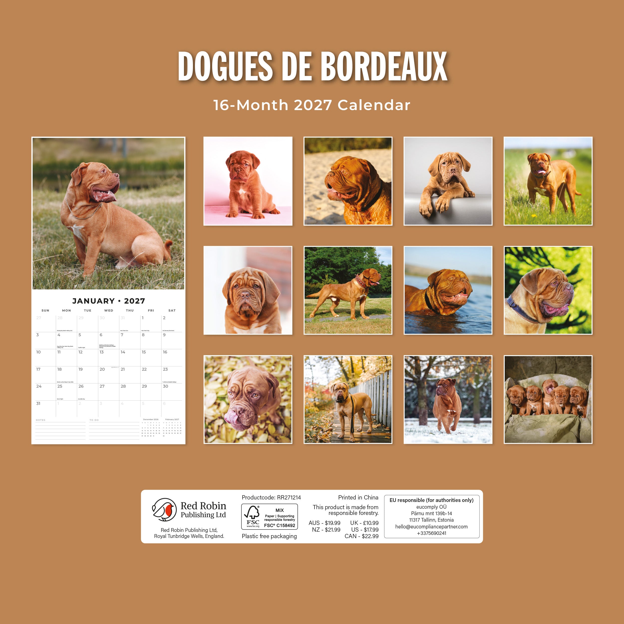 2027 Dogues de Bordeaux - Square Wall Calendar