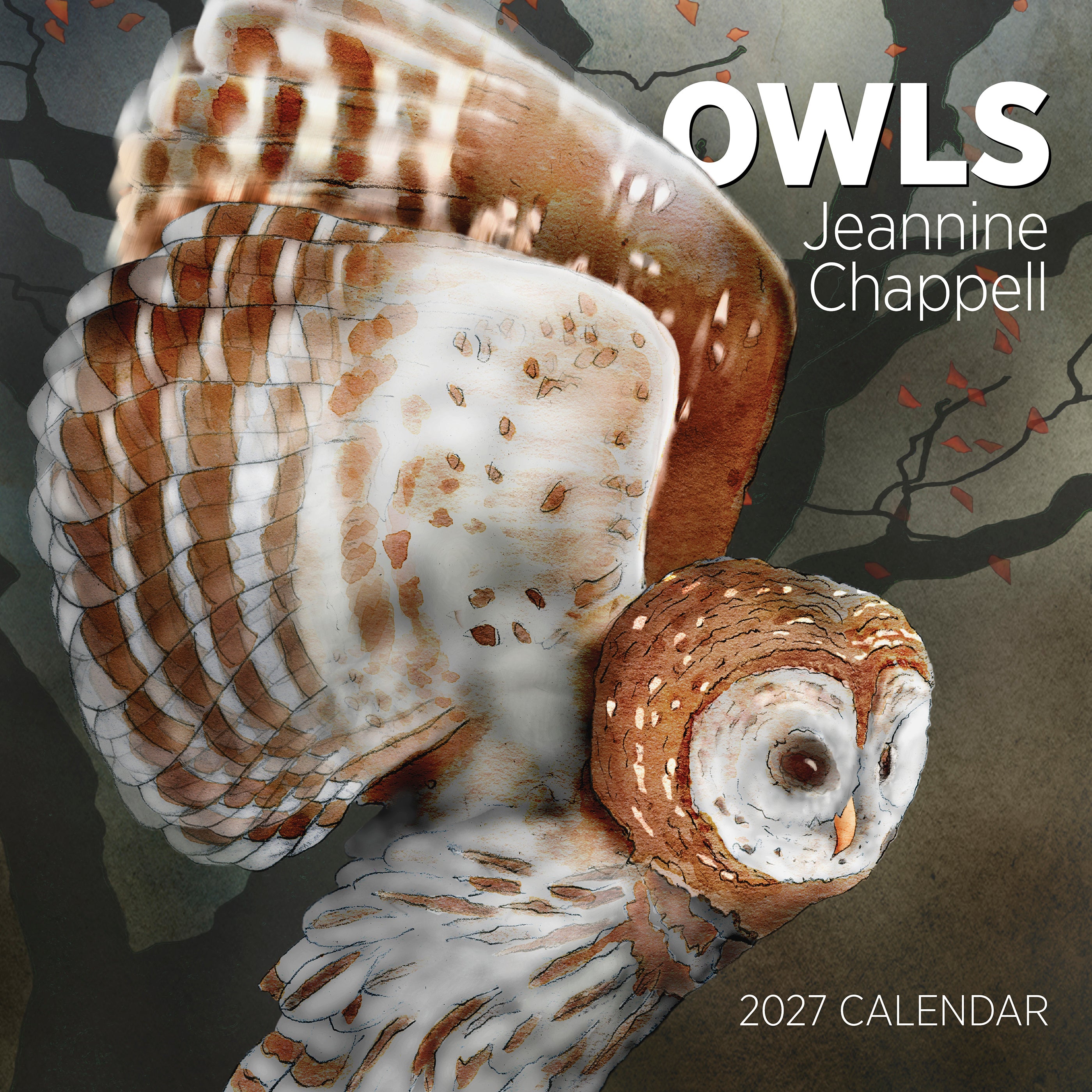 2027 Owls Jeannine Chappell - Square Wall Calendar