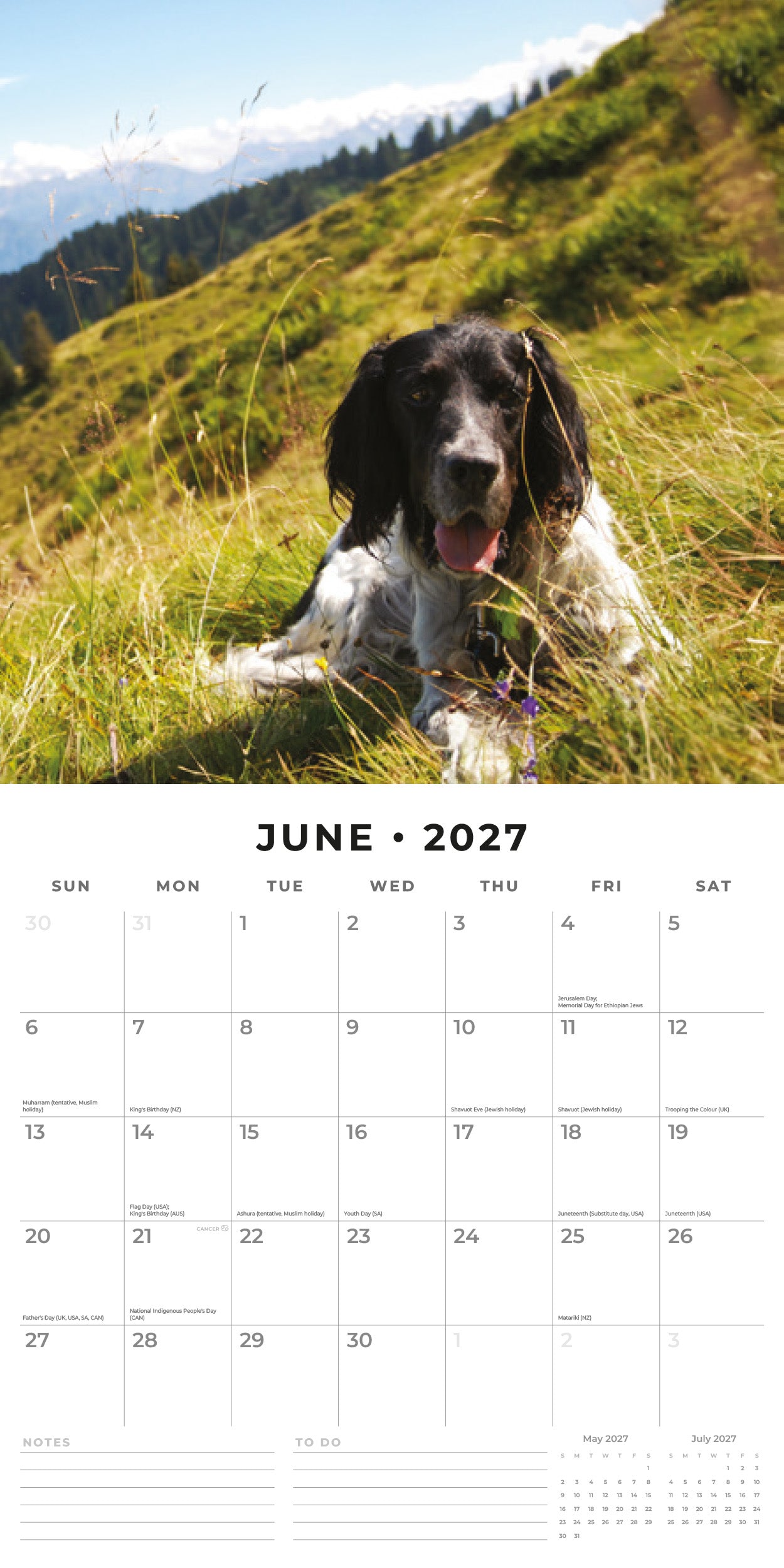 2027 English Setters - Square Wall Calendar