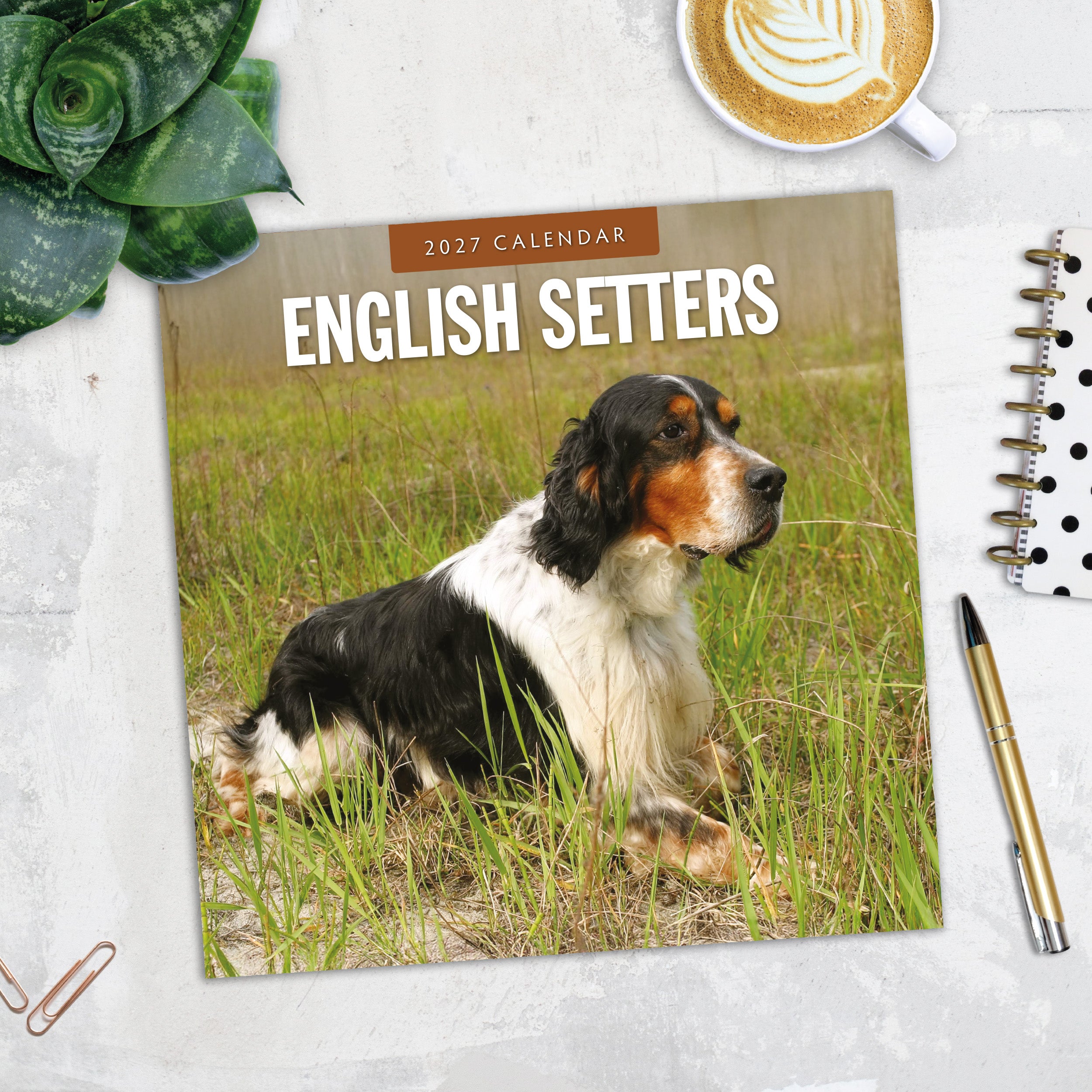 2027 English Setters - Square Wall Calendar