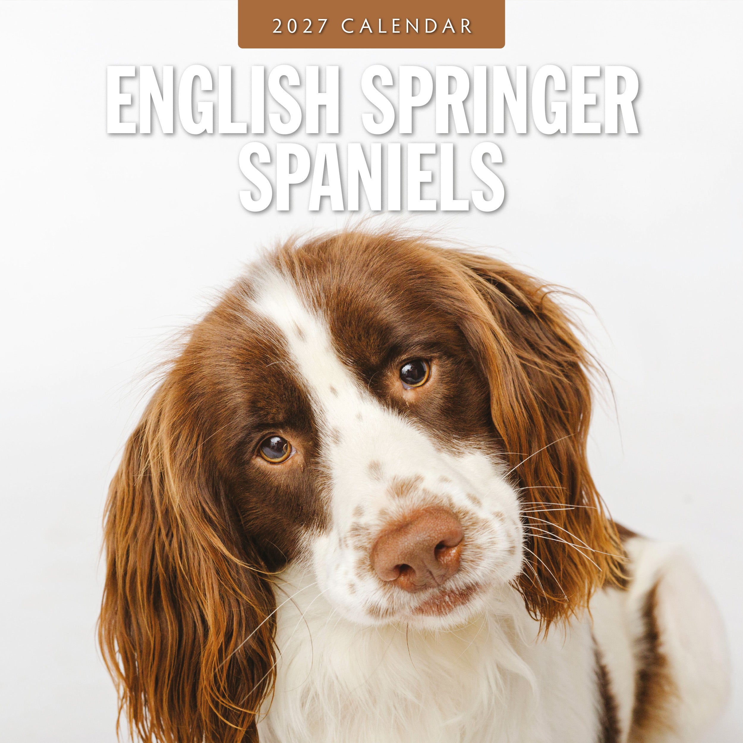 2027 English Springer Spaniels - Square Wall Calendar