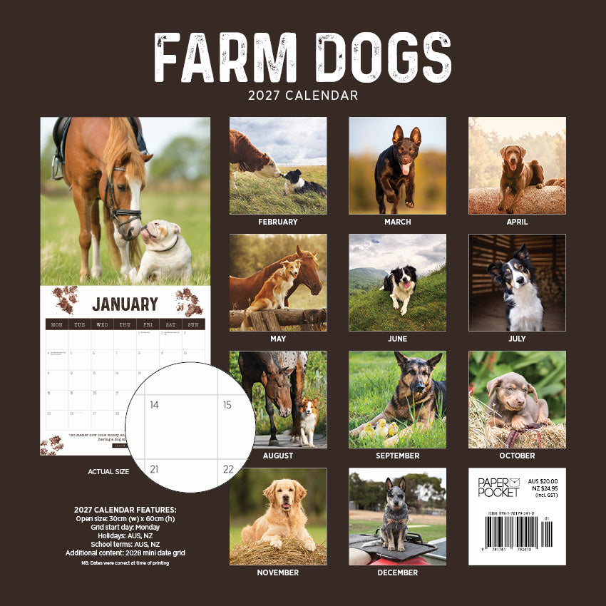 2027 Farm Dogs - Square Wall Calendar