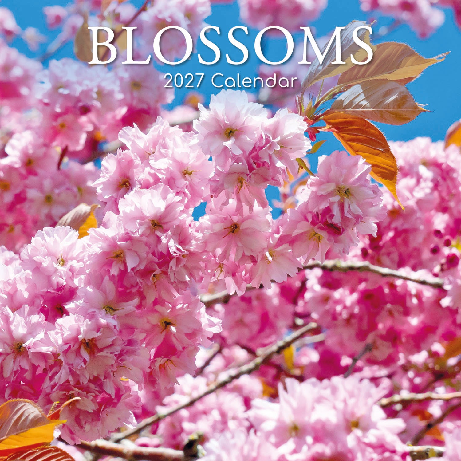 Floral_Blossoms_2027_Cover.jpg