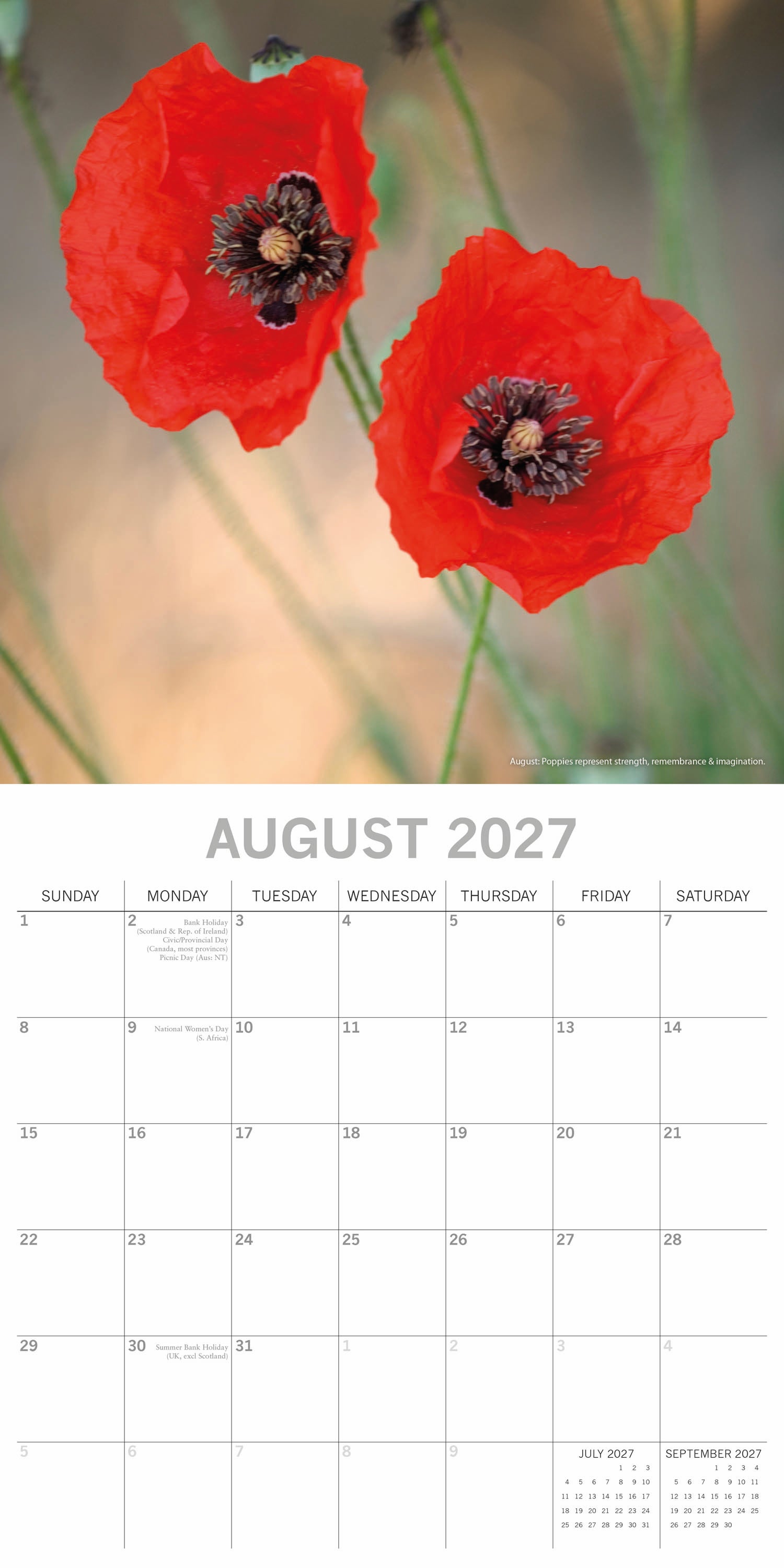 Floral_Flower_of_the_Month_2027_Aug.jpg