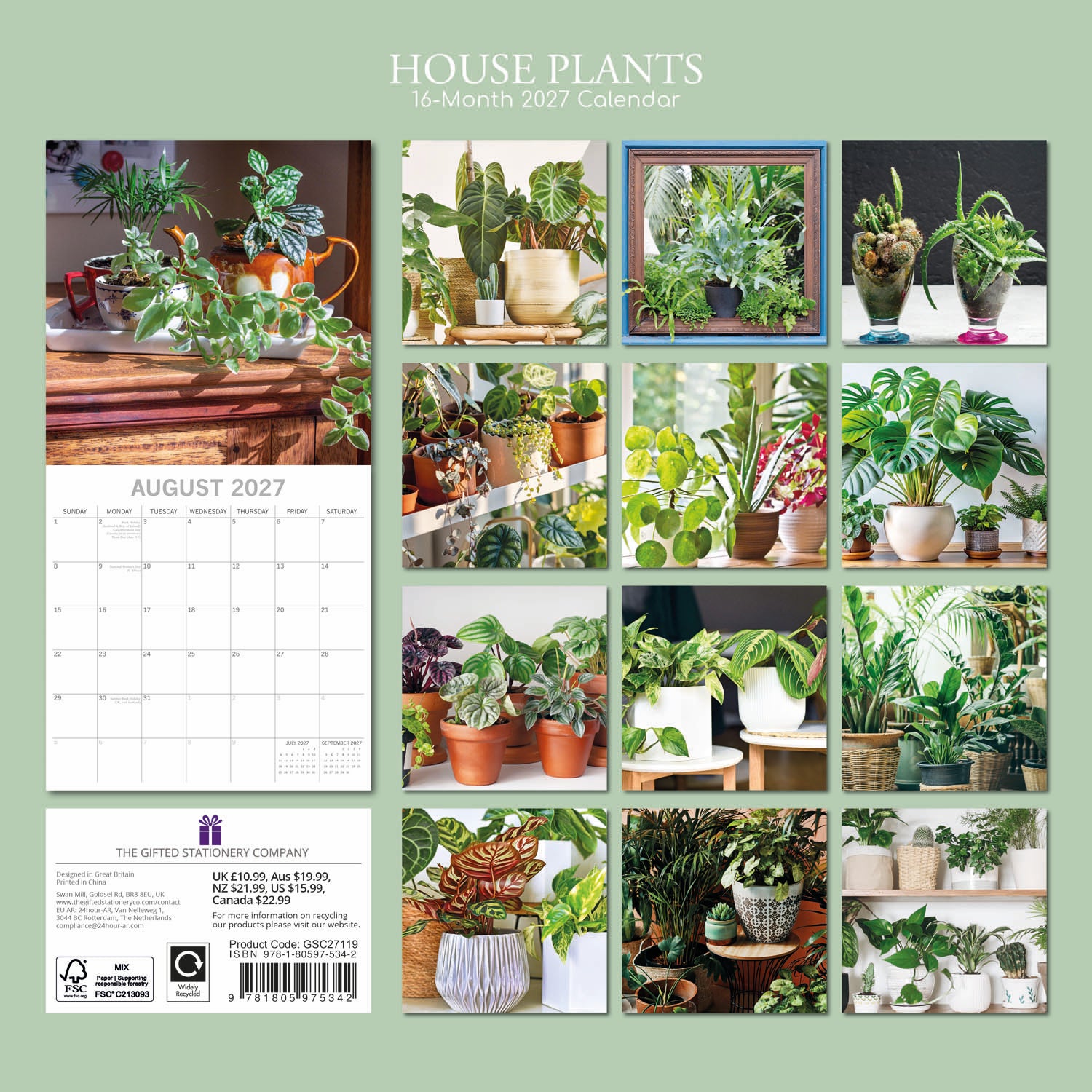 Floral_House_Plants_2027_Back.jpg
