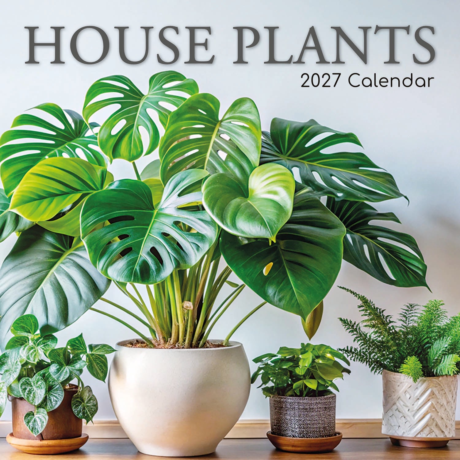indoor plant calendar 2027 House Plants