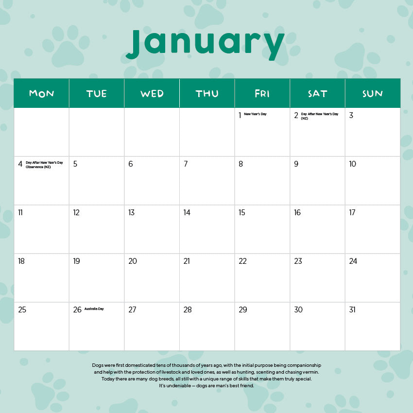 2027 French Bulldogs - Square Wall Calendar
