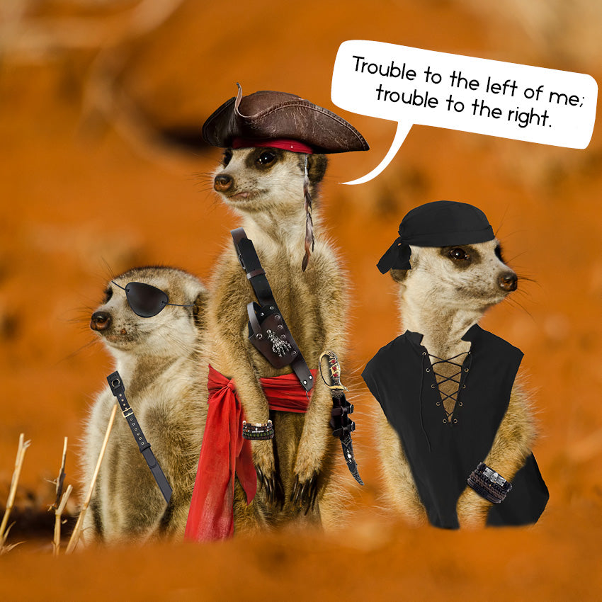 2027 Gangs Of Meerkat Manor - Square Wall Calendar