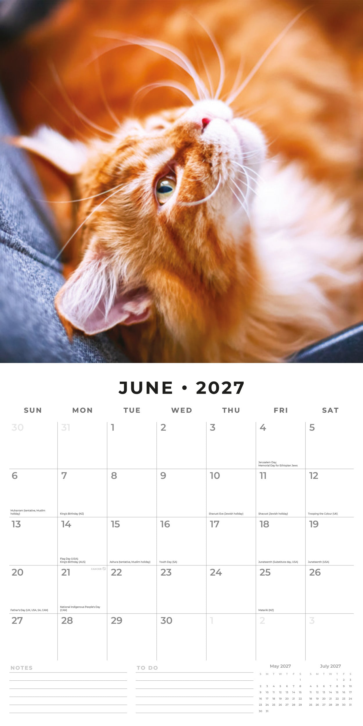 2027 Ginger Cats - Square Wall Calendar