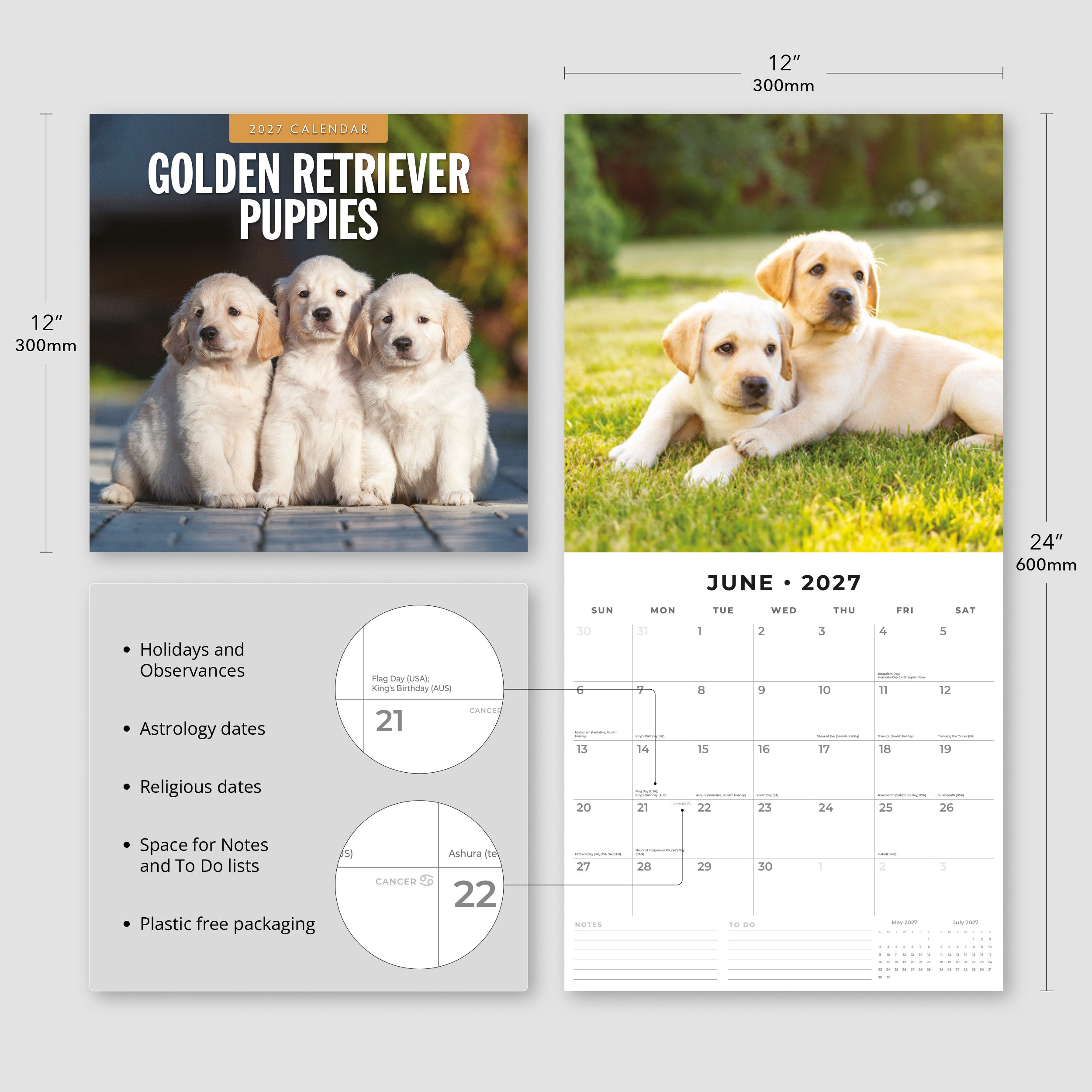 2027 Golden Retriever Puppies - Square Wall Calendar