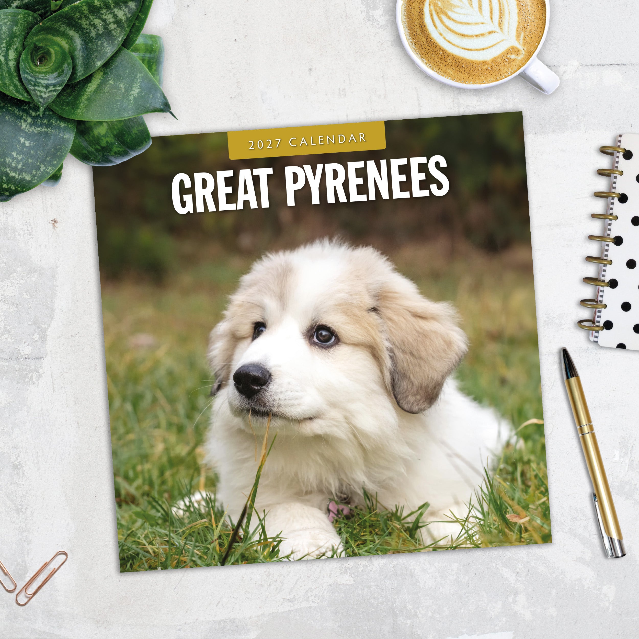 2027 Great Pyrenees - Square Wall Calendar