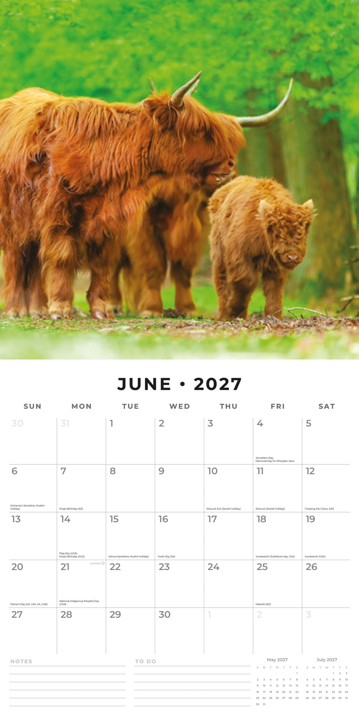 2027 Highland Cows - Square Wall Calendar