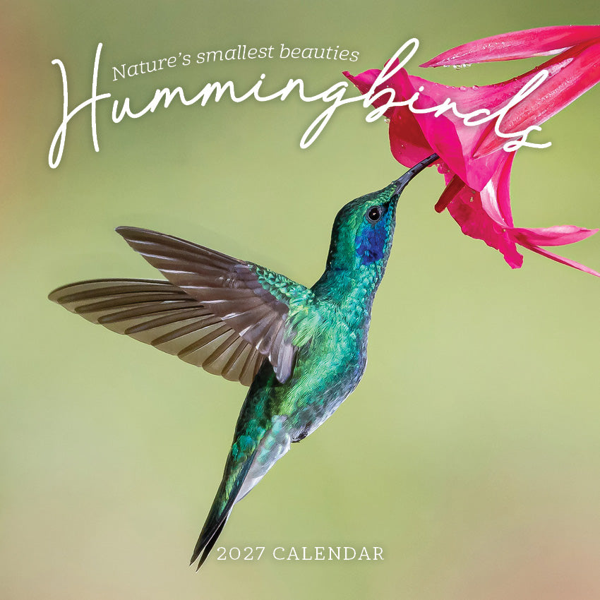 2027 Hummingbirds - Square Wall Calendar