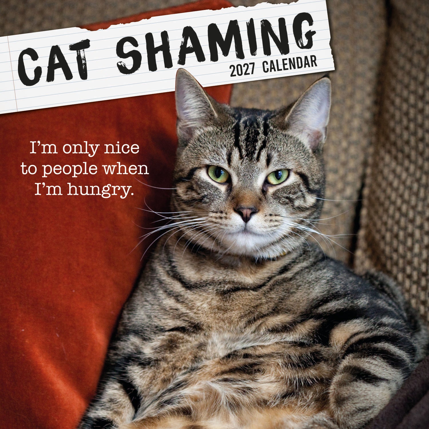Humour_Cat_Shaming_2027_Cover.jpg