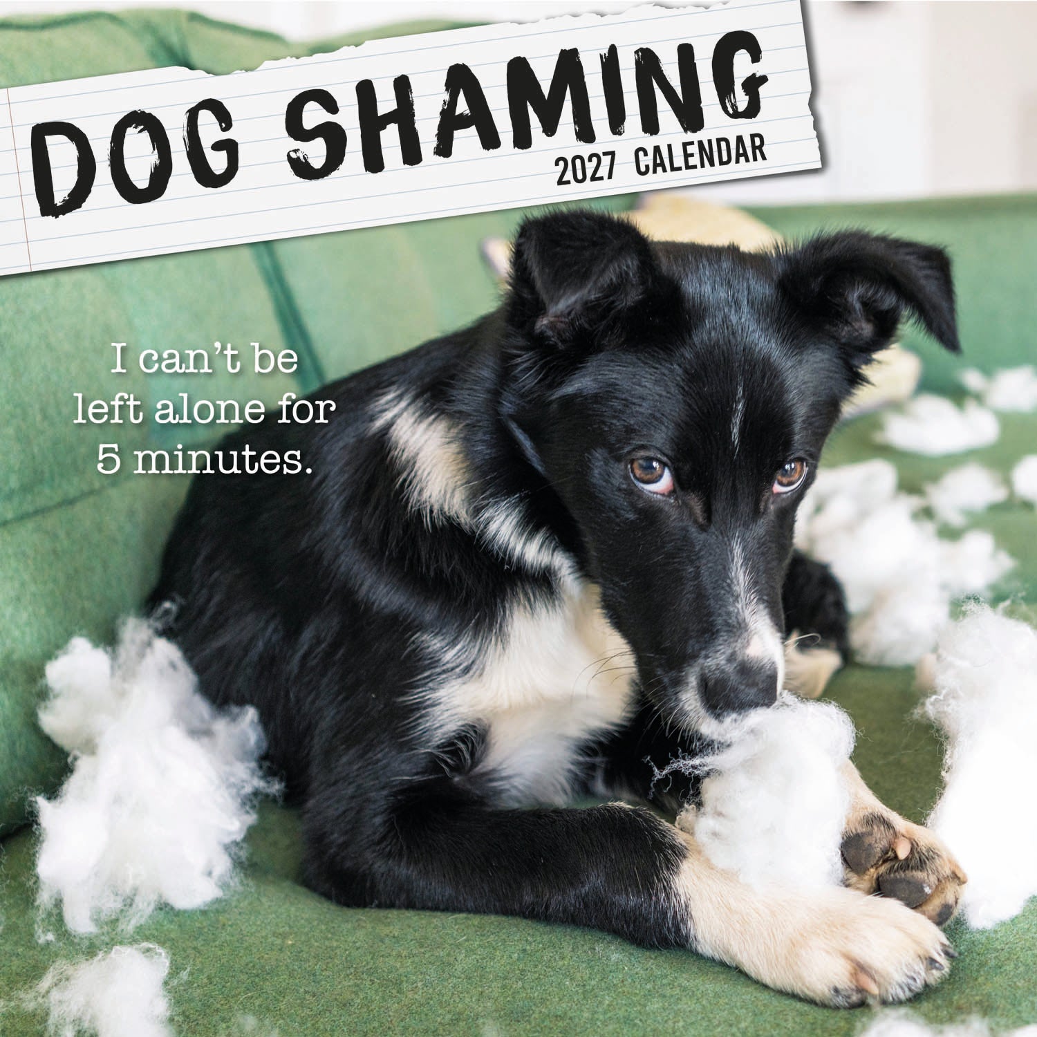 Humour_Dog_Shaming_2027_Cover.jpg