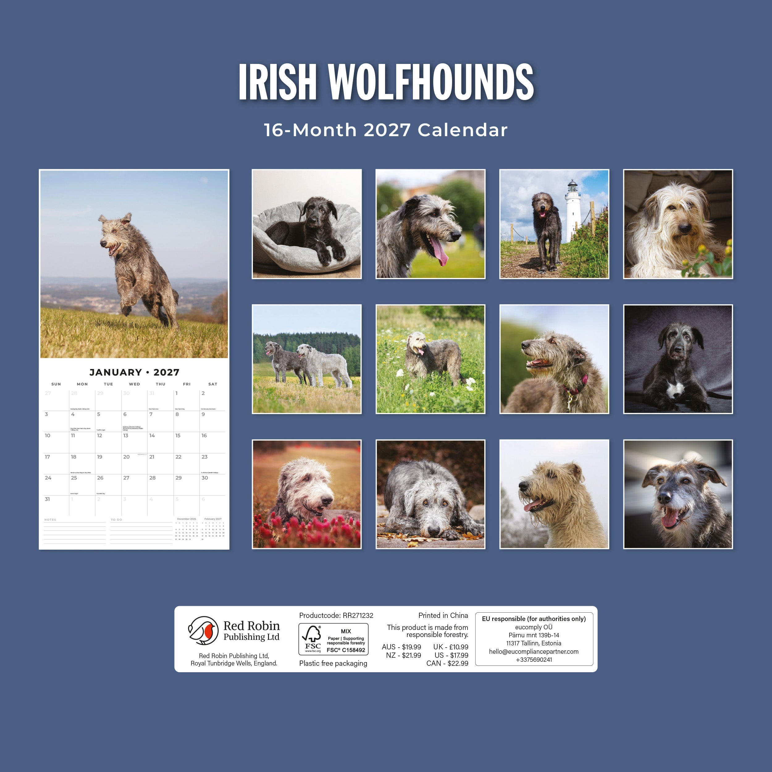 2027 Irish Wolf Hounds - Square Wall Calendar