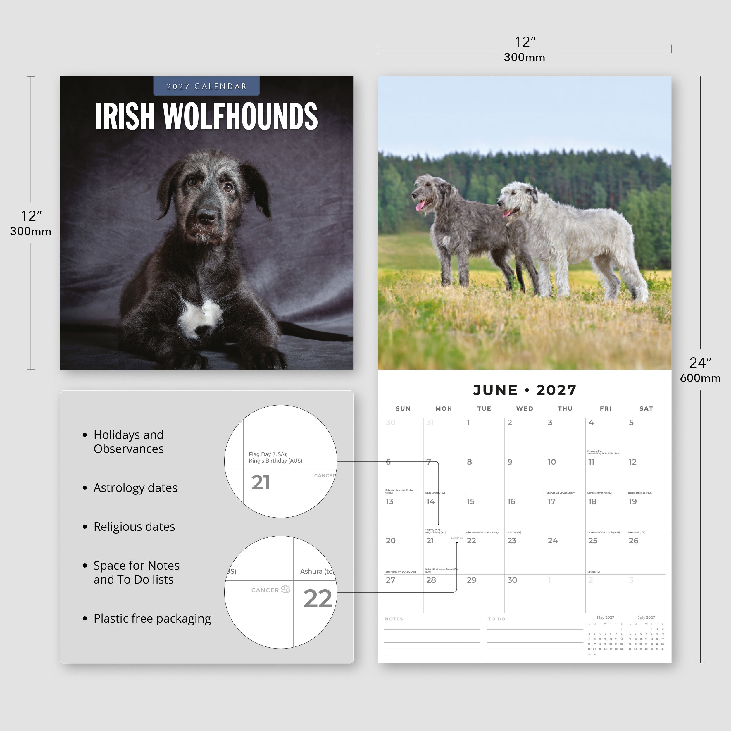 2027 Irish Wolf Hounds - Square Wall Calendar