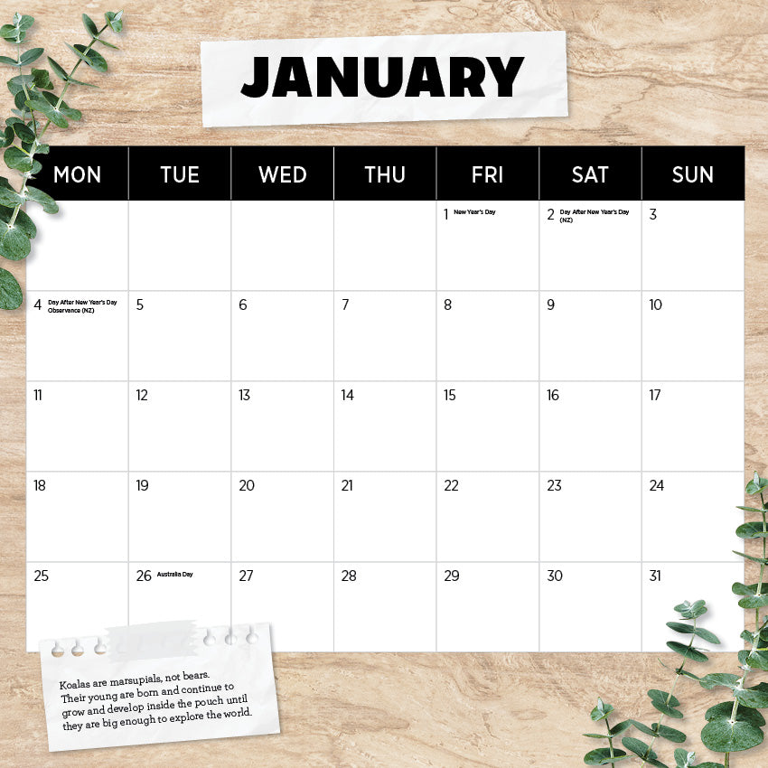 2027 Koalas - Square Wall Calendar