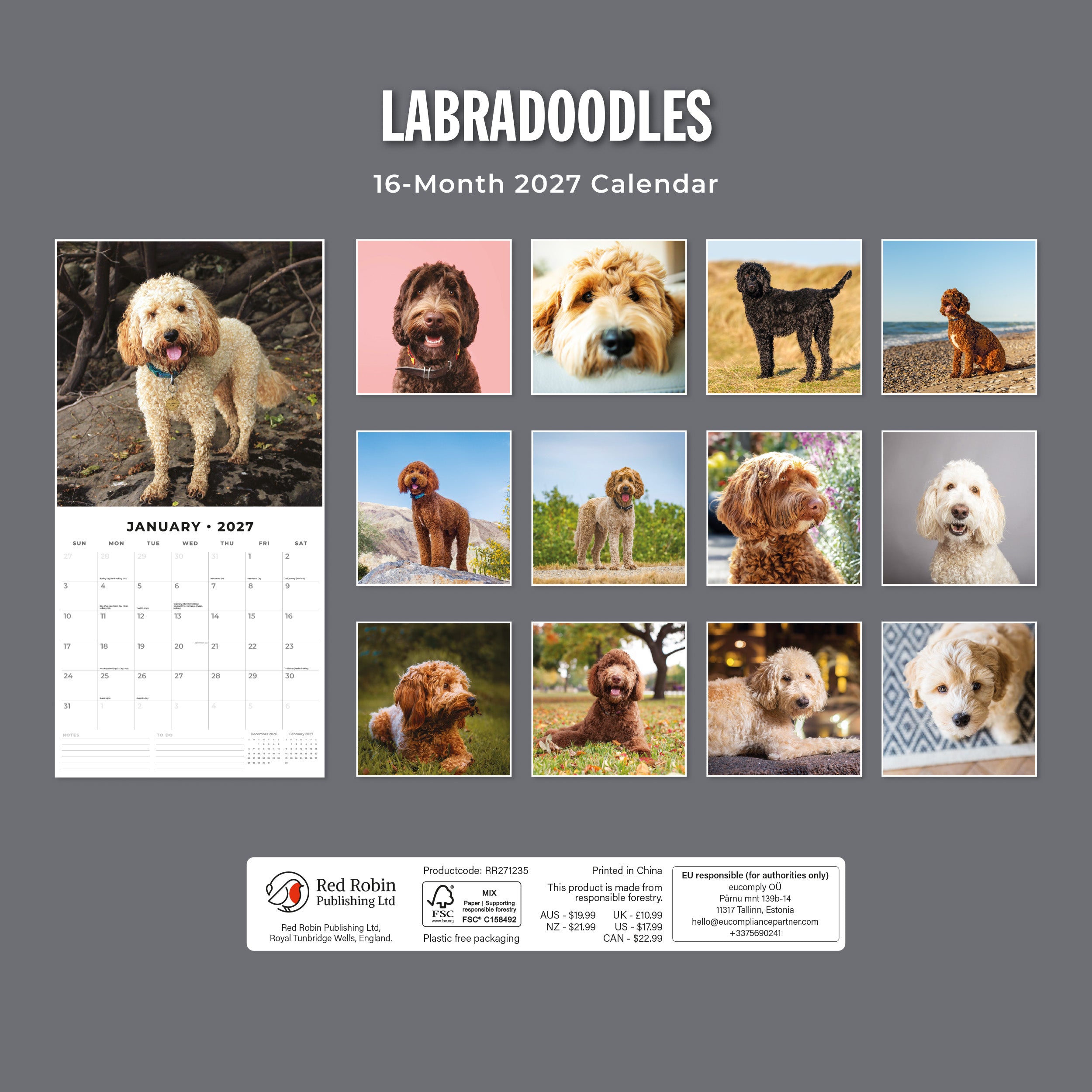 2027 Labradoodles - Square Wall Calendar