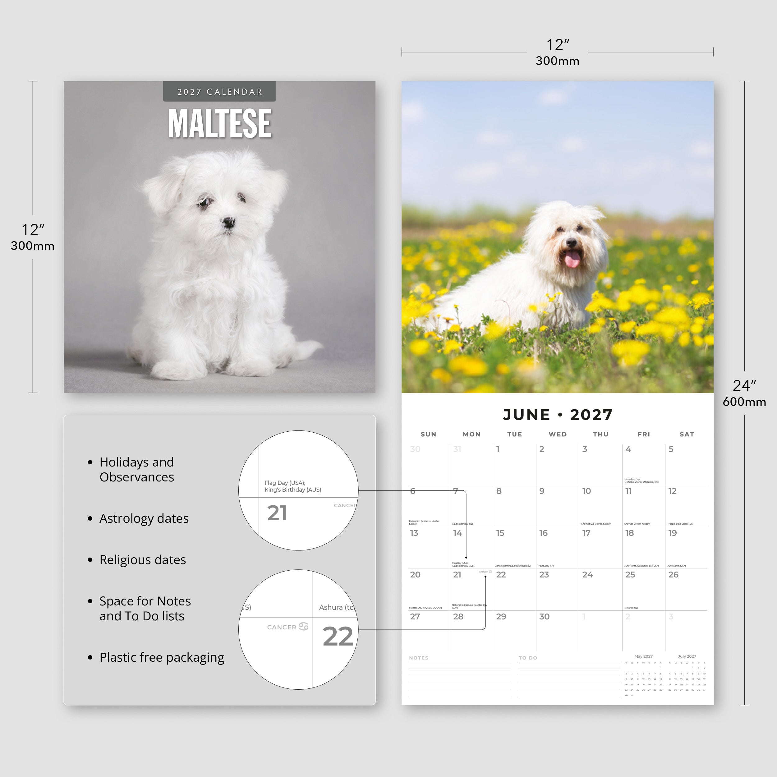 2027 Maltese - Square Wall Calendar