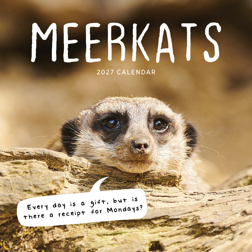 2027 Meerkats - Square Wall Calendar