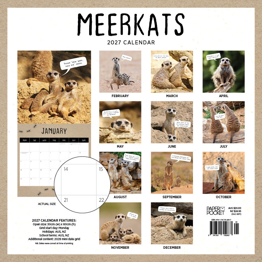 2027 Meerkats - Square Wall Calendar