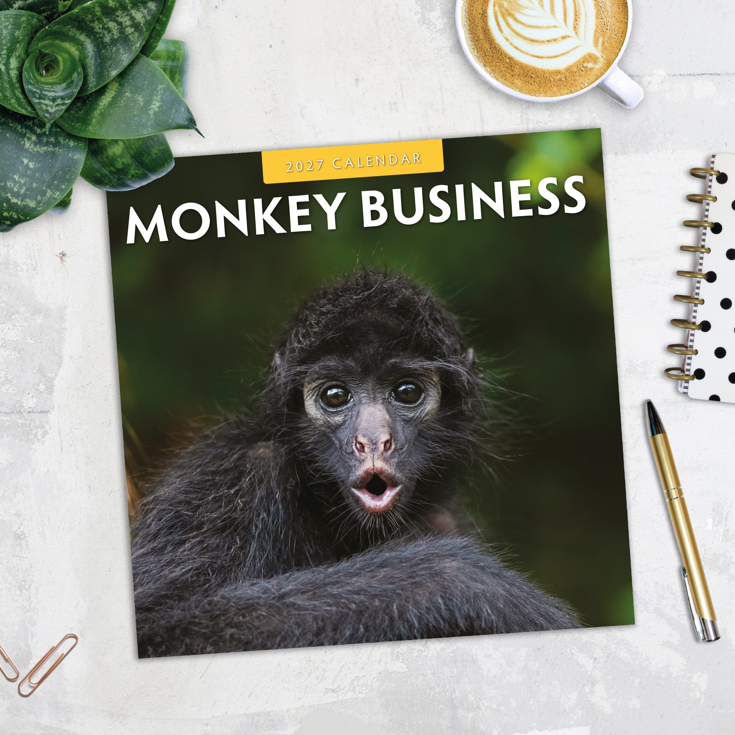 2027 Monkey Business - Square Wall Calendar