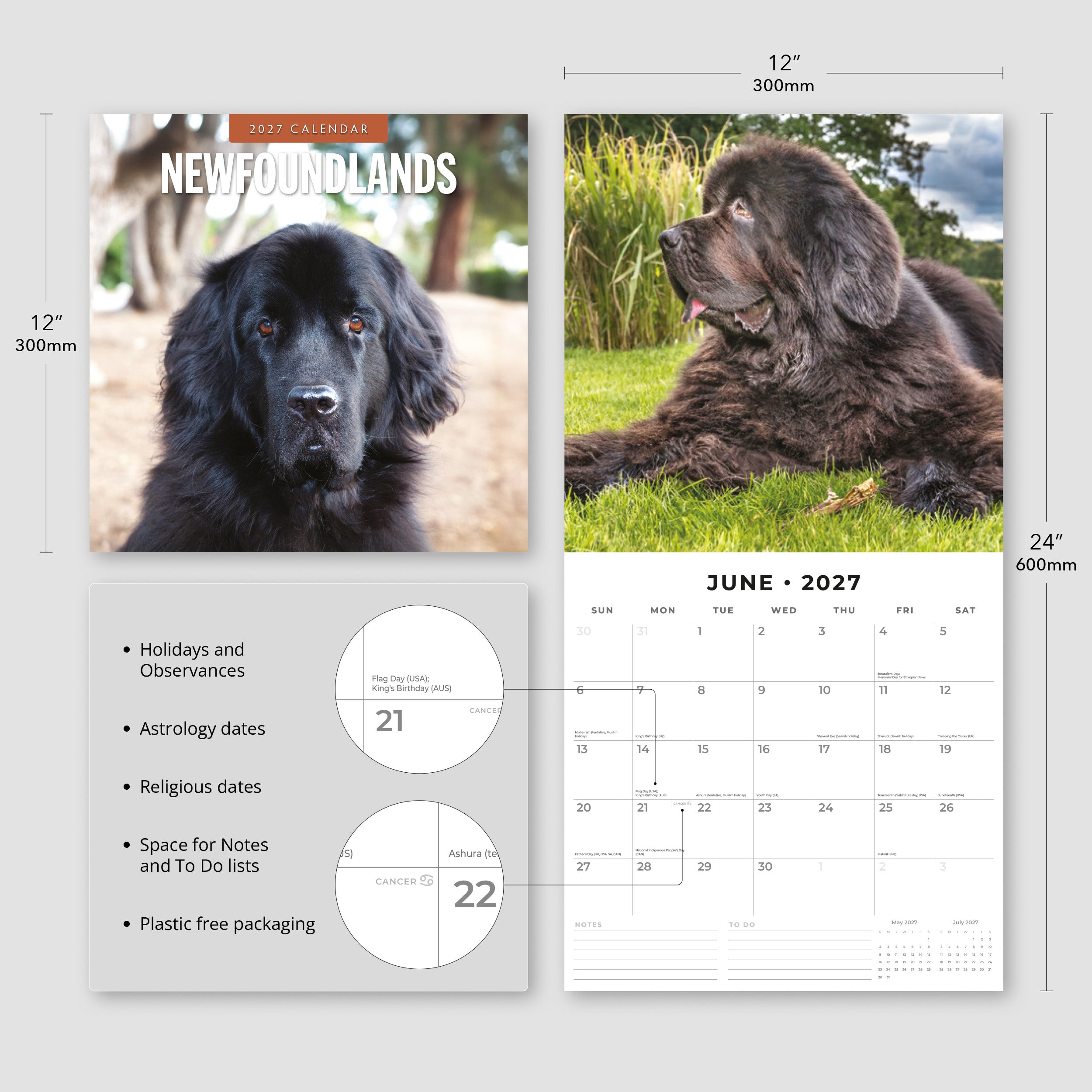 2027 Newfoundlands - Square Wall Calendar