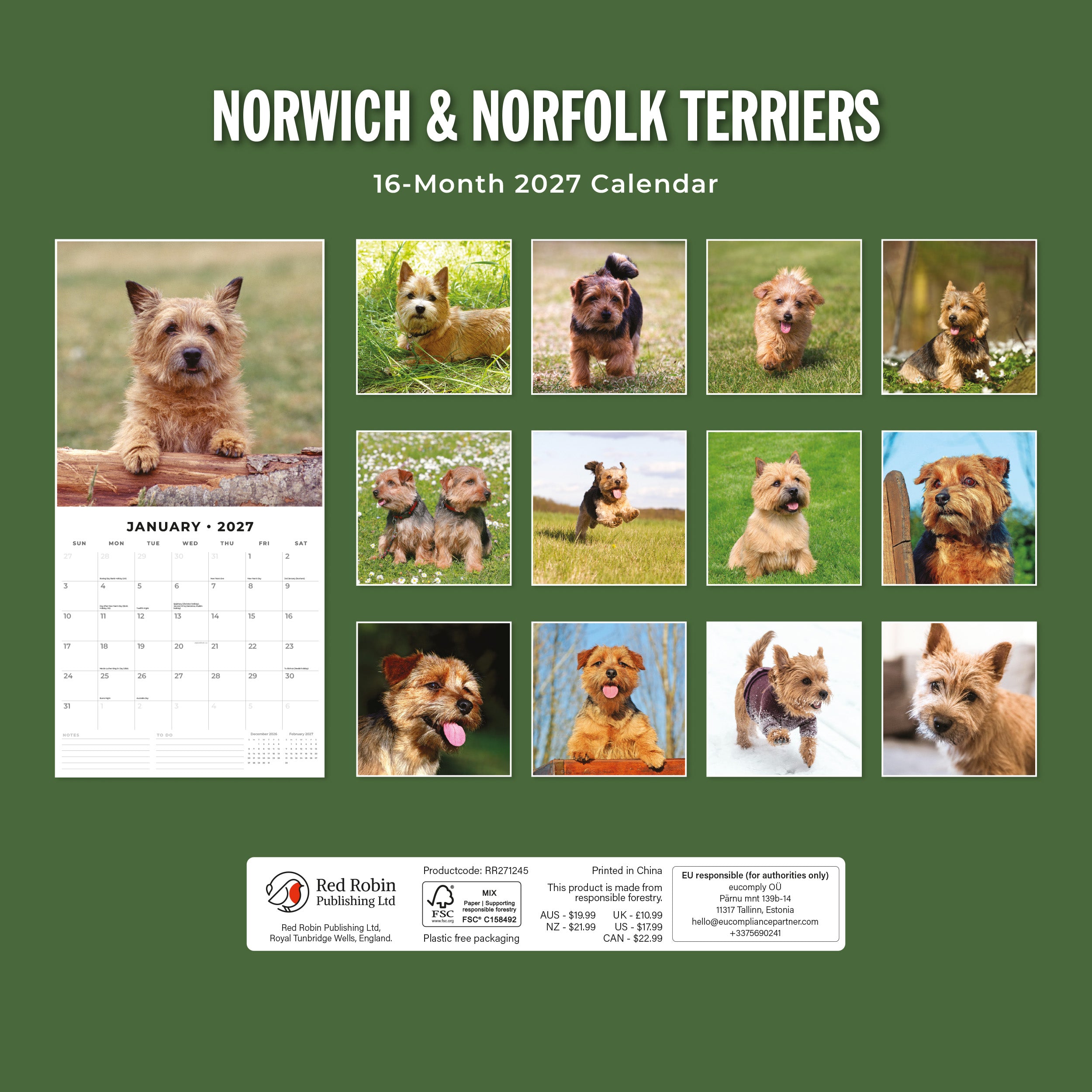 2027 Norwich & Norfolk Terriers - Square Wall Calendar